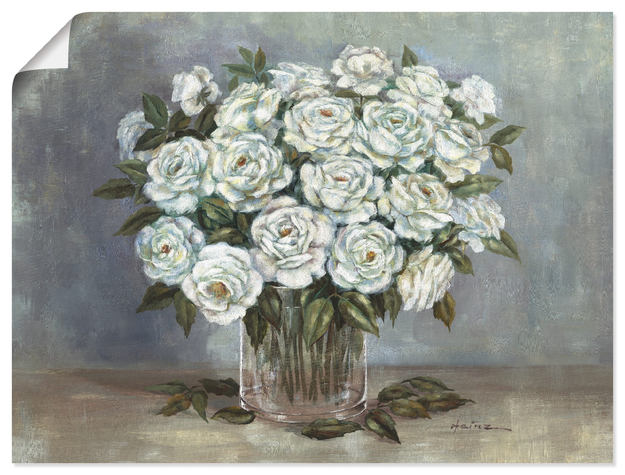 BAUR kaufen »Weiße Leinwandbild, oder Artland (1 Alubild, Wandaufkleber in Größen | Wandbild St.), Poster als Blumen, versch. Rosen«,