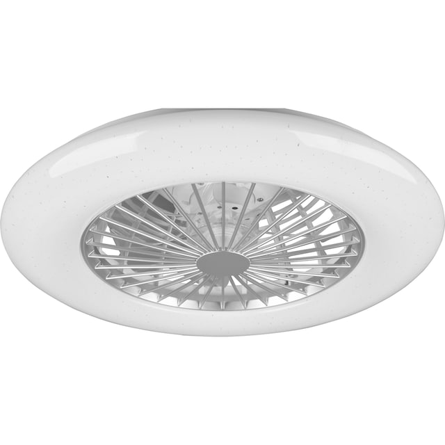 TRIO Leuchten LED Deckenleuchte »Stralsund«, 1 flammig-flammig,  Deckenventilator mit 3 Stufen, Fernbed., Lichtfarbe einstellbar, RGBW | BAUR