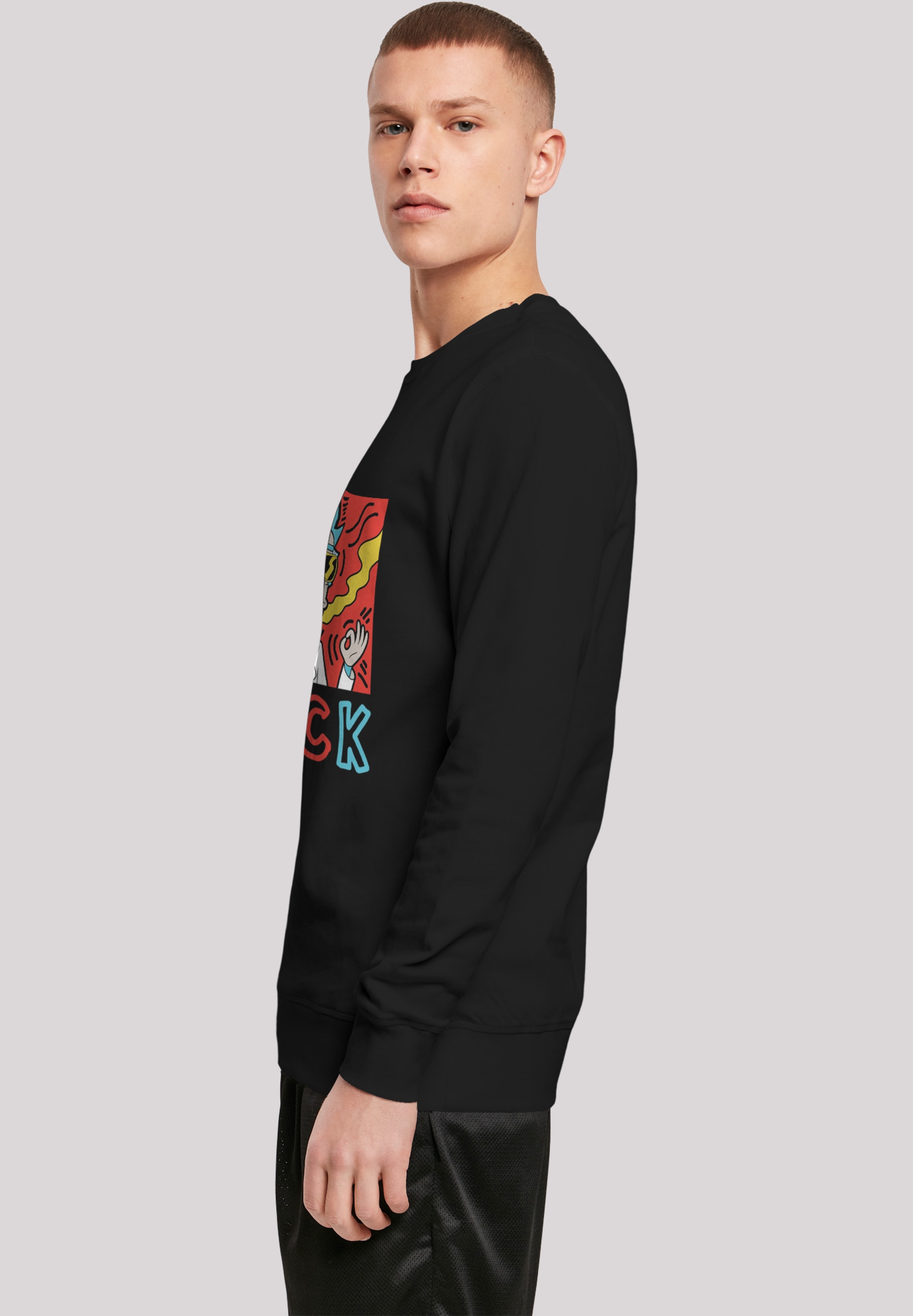 F4NT4STIC Rundhalspullover »F4NT4STIC Herren RICK with Light Crew sweatshirt«, (1 tlg.)