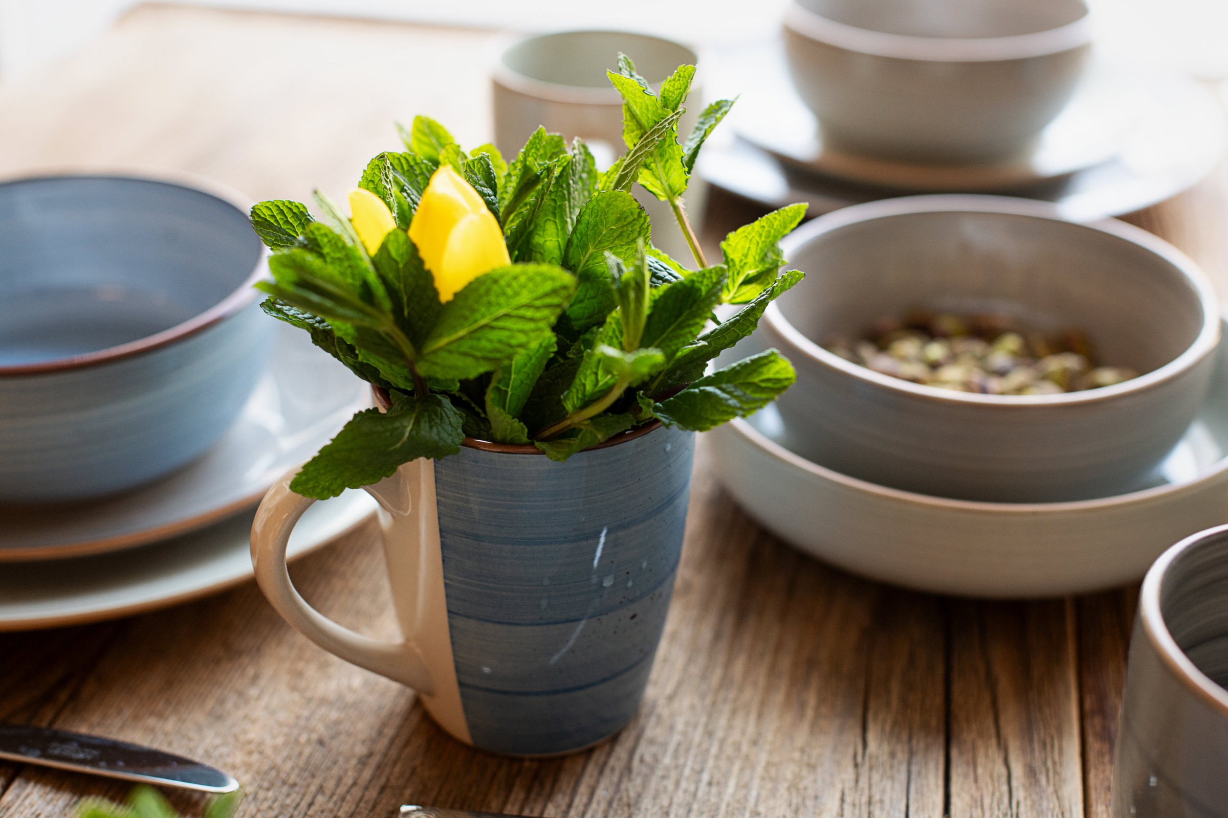 MÄSER Kombiservice »VALMERA, Geschirr Set, Steinzeug«