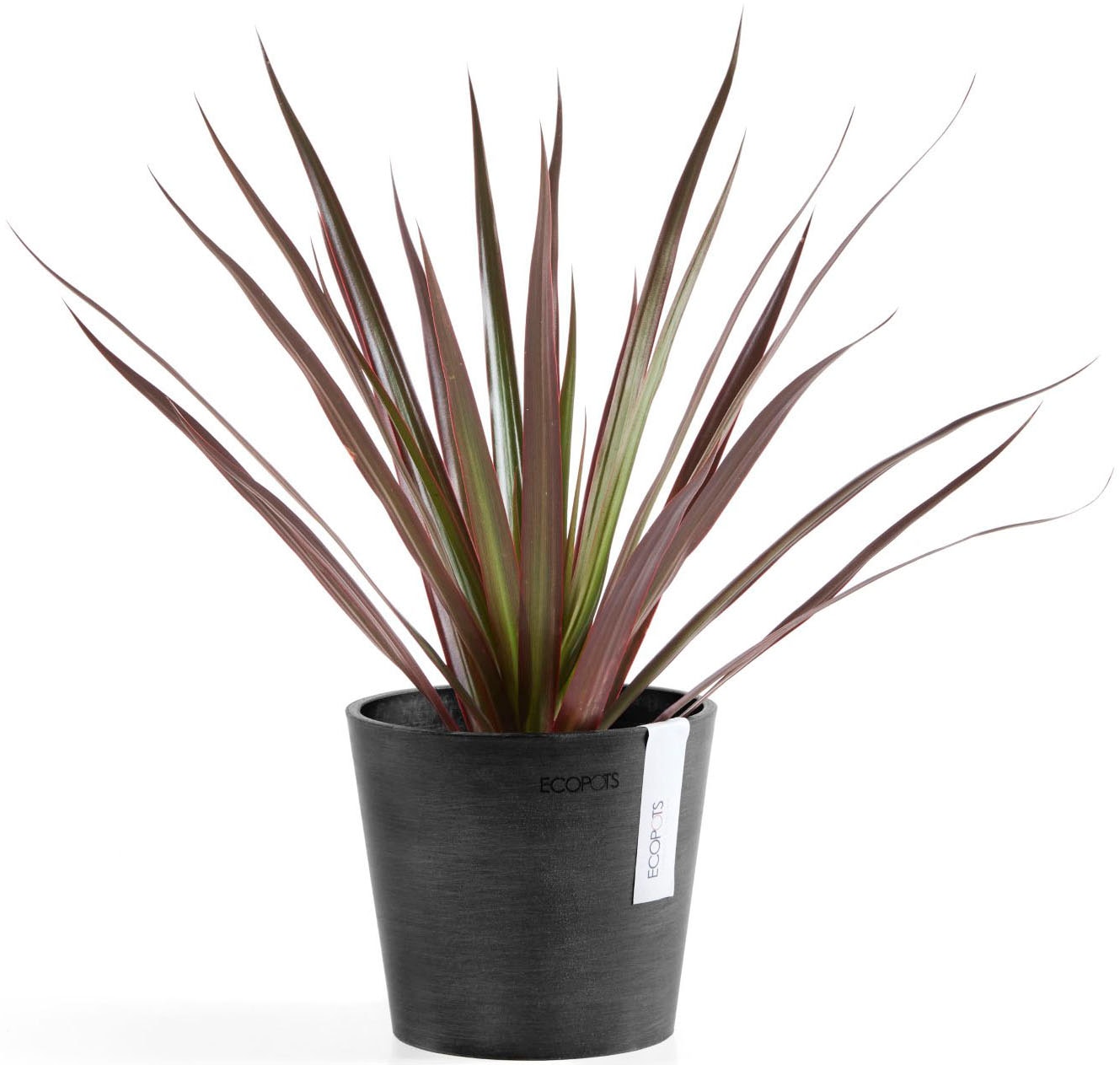 ECOPOTS Blumentopf »AMSTERDAM Mini Dark Grey« BxTxH: 13x13x11,4 cm