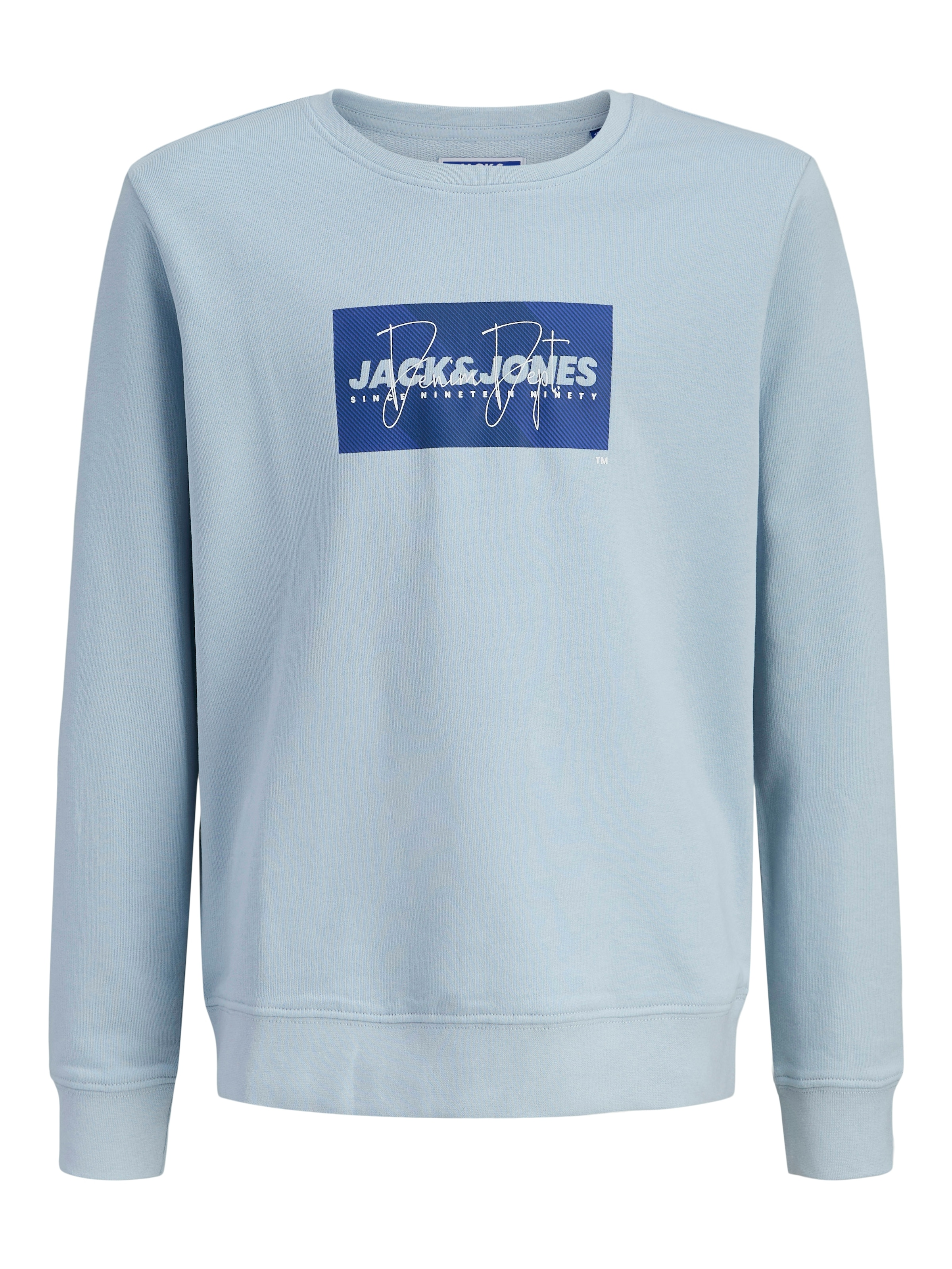 Jack & Jones Junior Sweatshirt »JJCOLE PRINT SWEAT CREW JNR«, mit Logoprint
