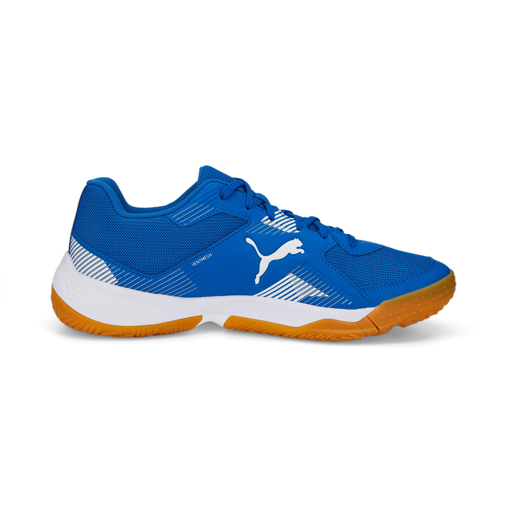 PUMA Hallenschuh »SOLARFLASH II«