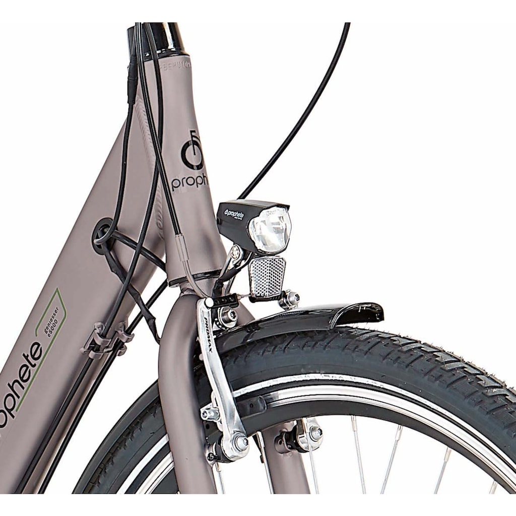 Prophete E-Bike »Geniesser e5000«, 7 Gang, Shimano, Nexus, Frontmotor 250 W