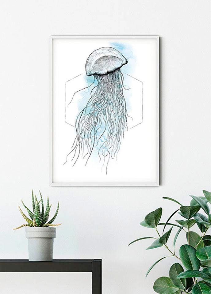 »Jellyfish Poster Tiere, St.), BAUR Schlafzimmer, | Komar Kinderzimmer, Watercolor«, (1 Wohnzimmer