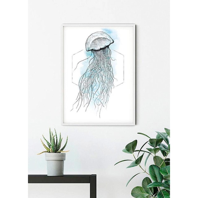 Poster Wohnzimmer Watercolor«, Tiere, »Jellyfish Kinderzimmer, | BAUR Komar Schlafzimmer, St.), (1