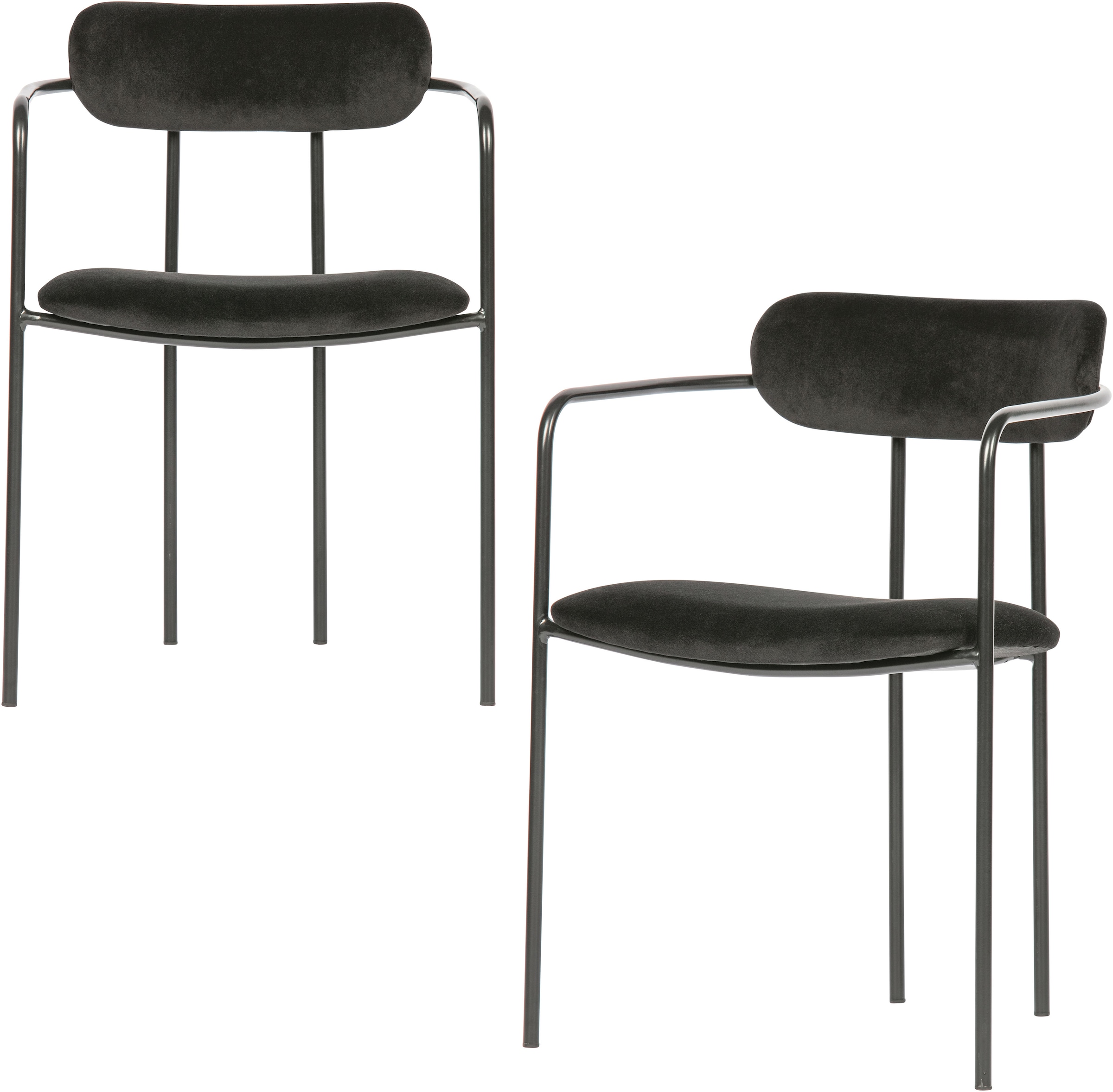 WOOOD Esszimmerstuhl "Ivy stapelbar mit Velvet-Bezug und Eisengestell B 55 x T 54 x H 76 cm" (Set) 2 Stk.Tragkraft 150 kg, Eisengestell, Pfleiglicht