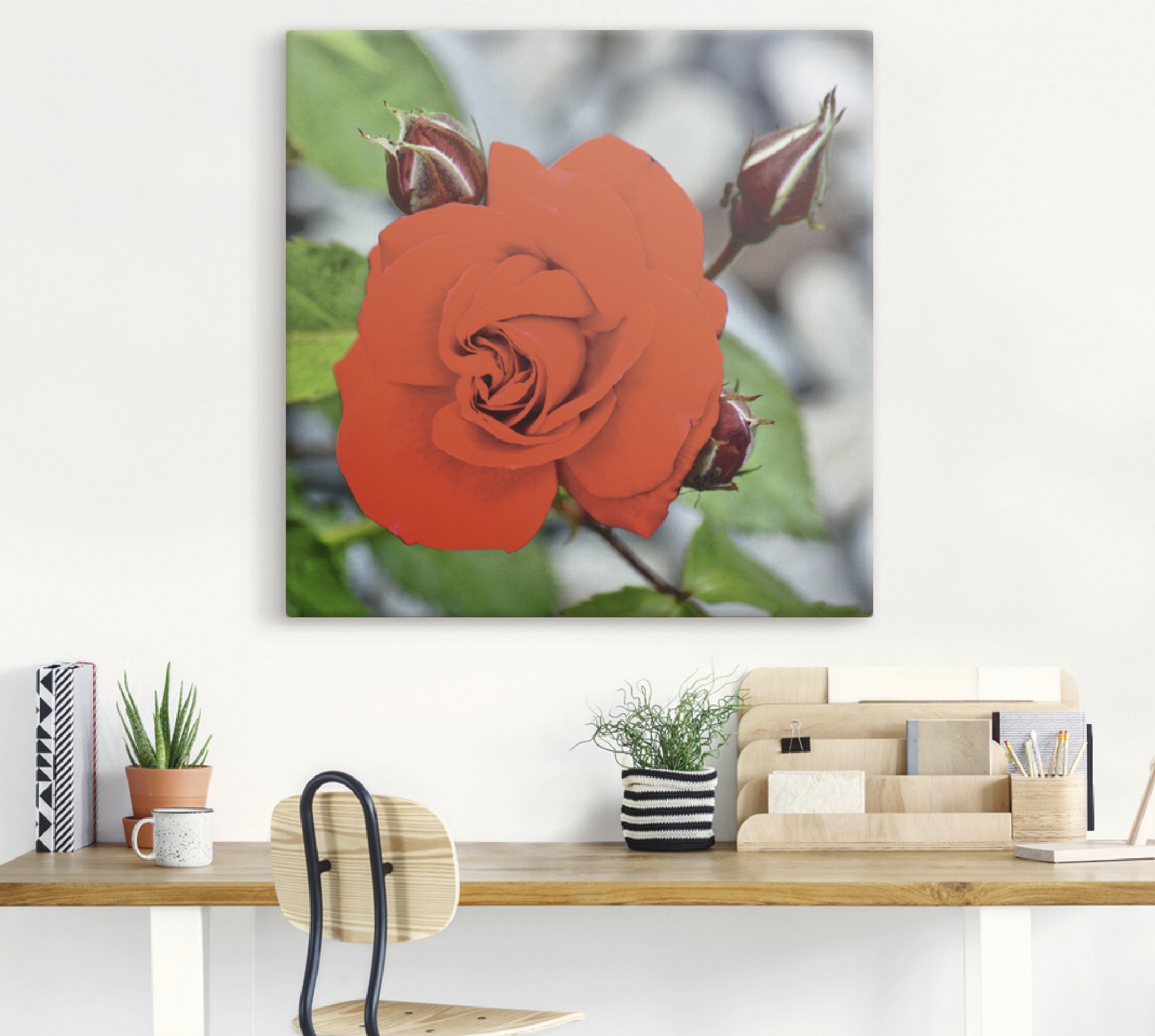 Artland Wandbild »Rote Rosenblüte mit Knospen«, Blumen, (1 St.), als Leinwandbild, Wandaufkleber in verschied. Größen