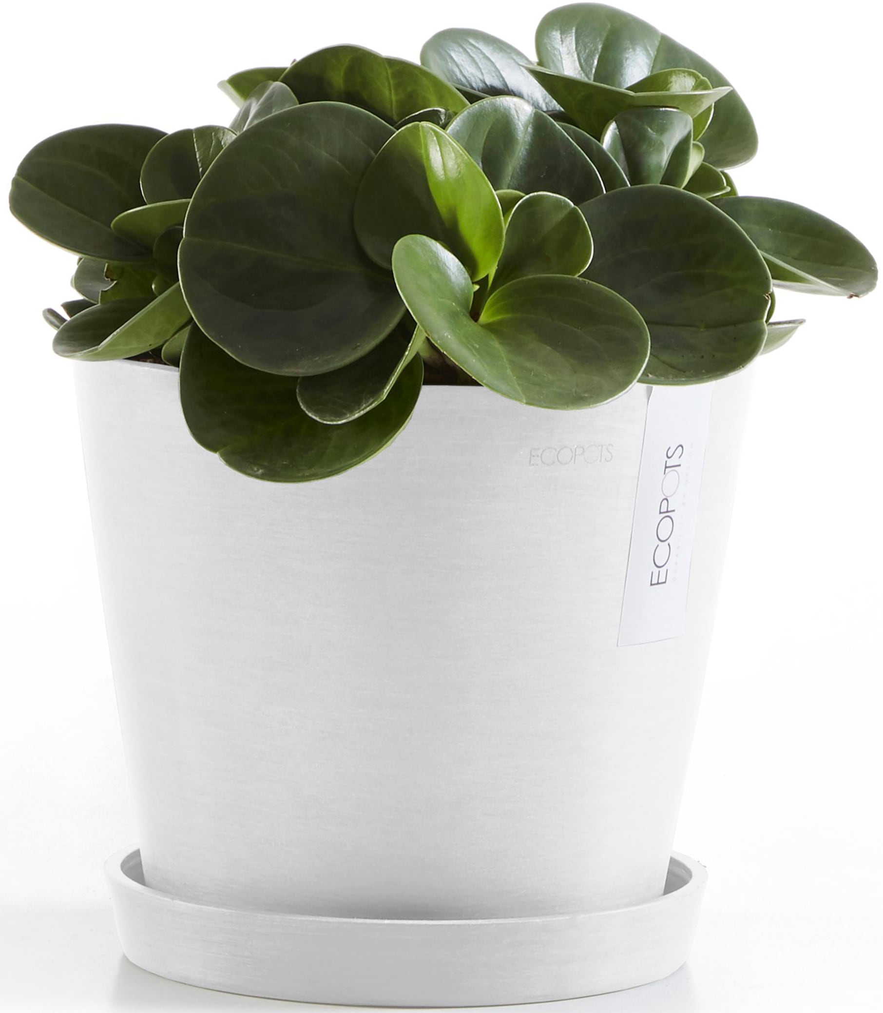 ECOPOTS Blumentopf »Amsterdam 20 + Wassersystem Weißgrau«, für innen und außen: frostsicher, bruchsicher und lichtbeständig