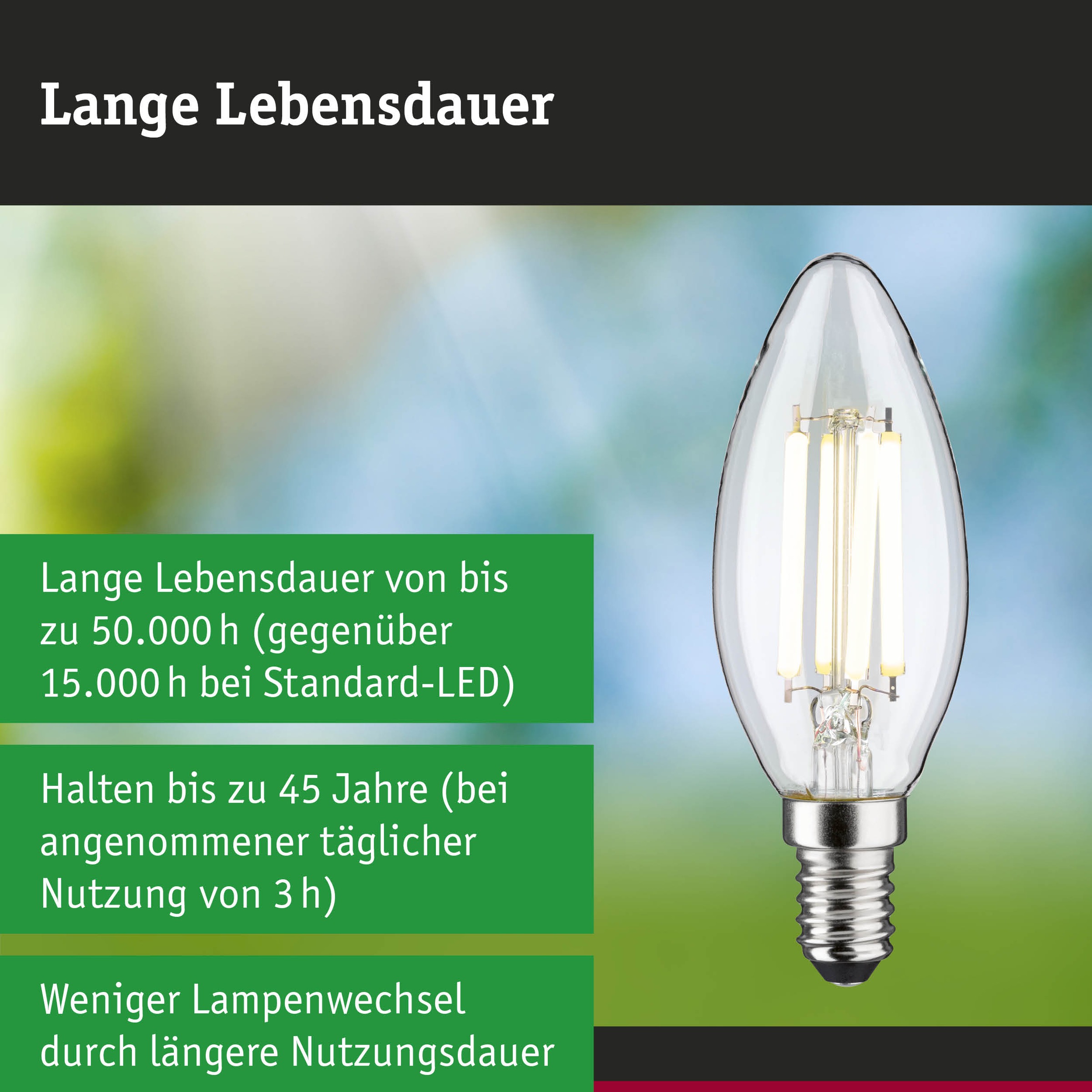 Paulmann LED-Leuchtmittel »Efficient-Line Kerze 840lm 4W 4000K klar 230V« E14 1 Stk. Neutralweiß