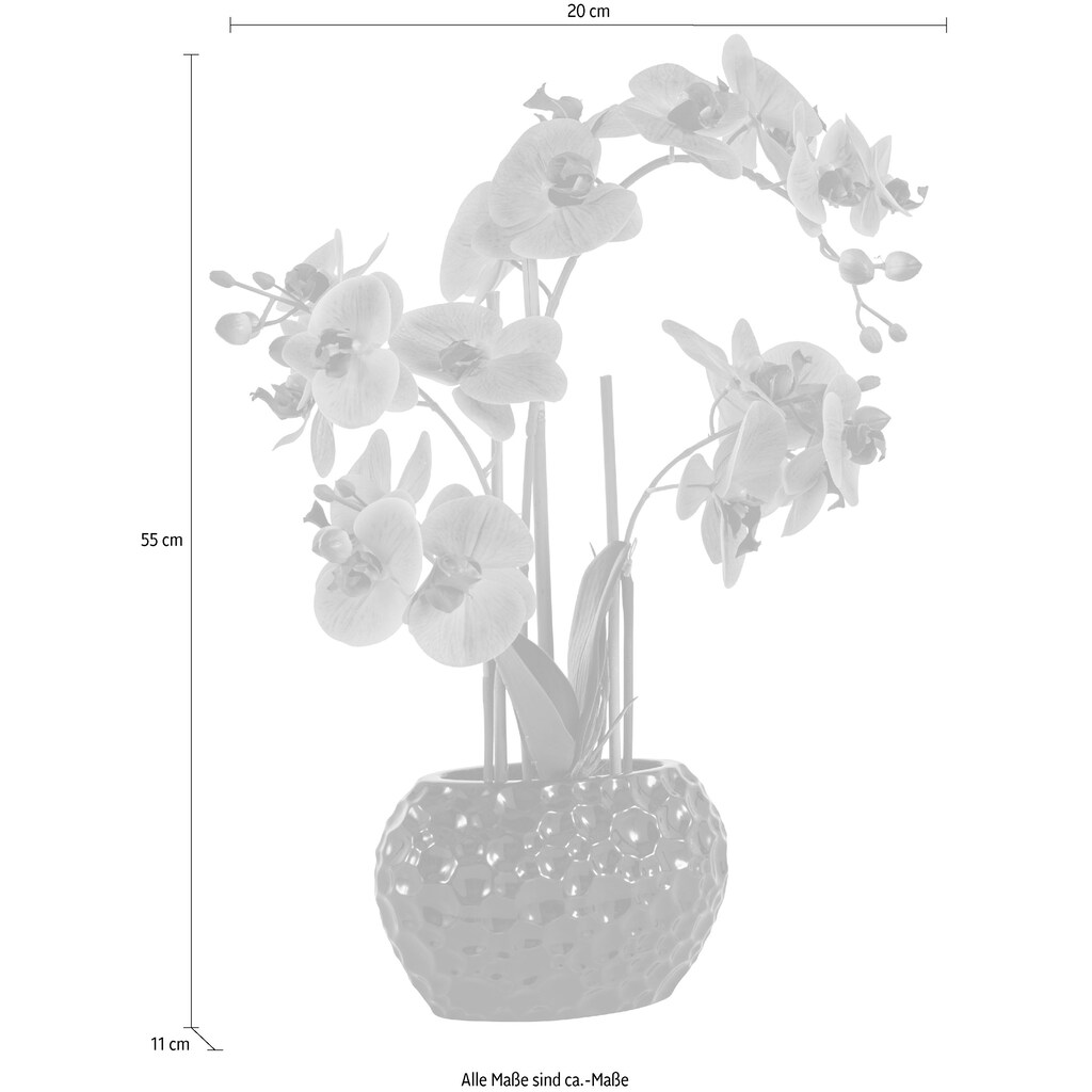 Leonique Kunstpflanze »Orchidee«, Kunstorchidee, im Topf