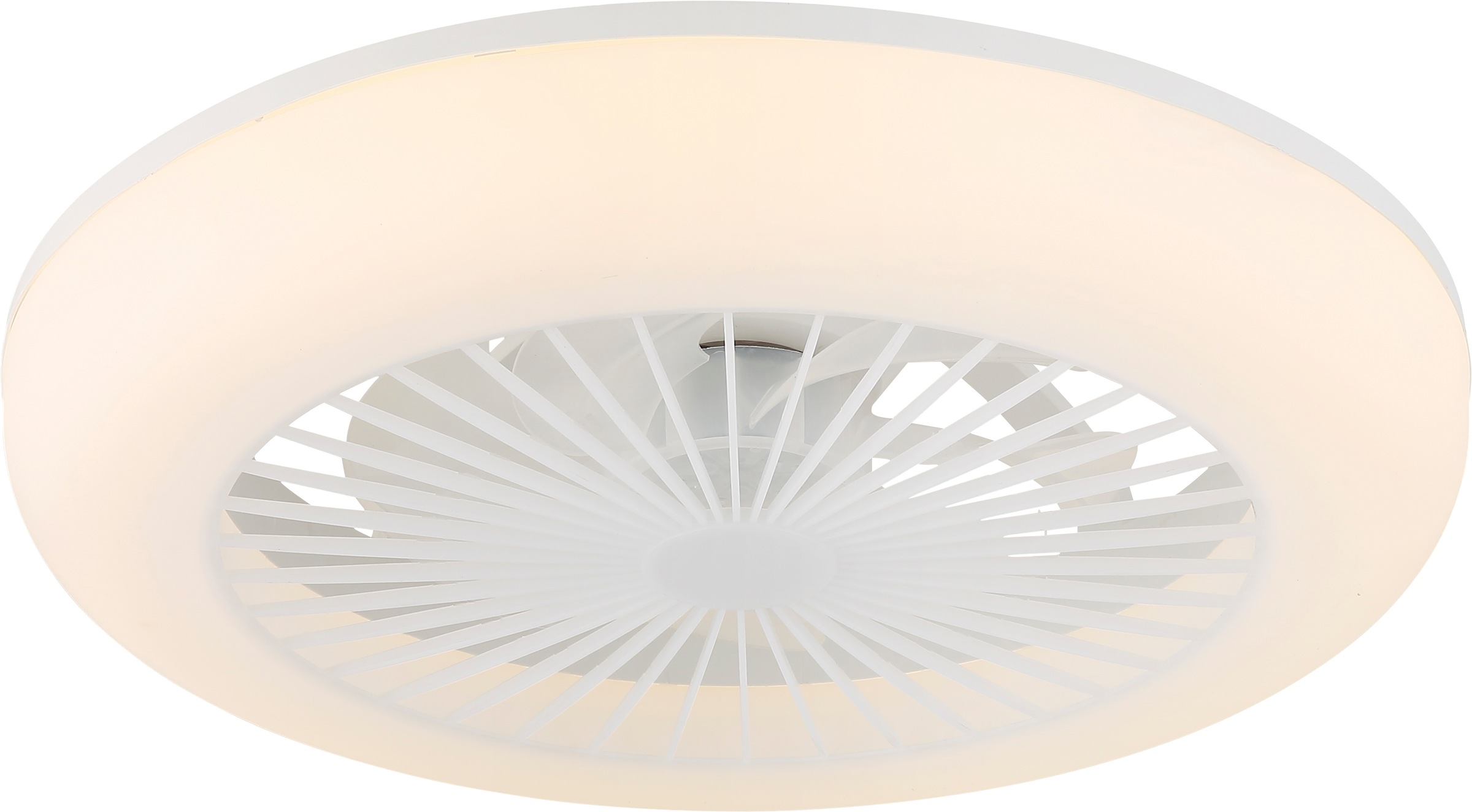 GLOBO LIGHTING Deckenleuchte »FERRELL« LED-Modul 1 Stk. Deckenventilator mit LED, dimmbar, smart & energiesparend