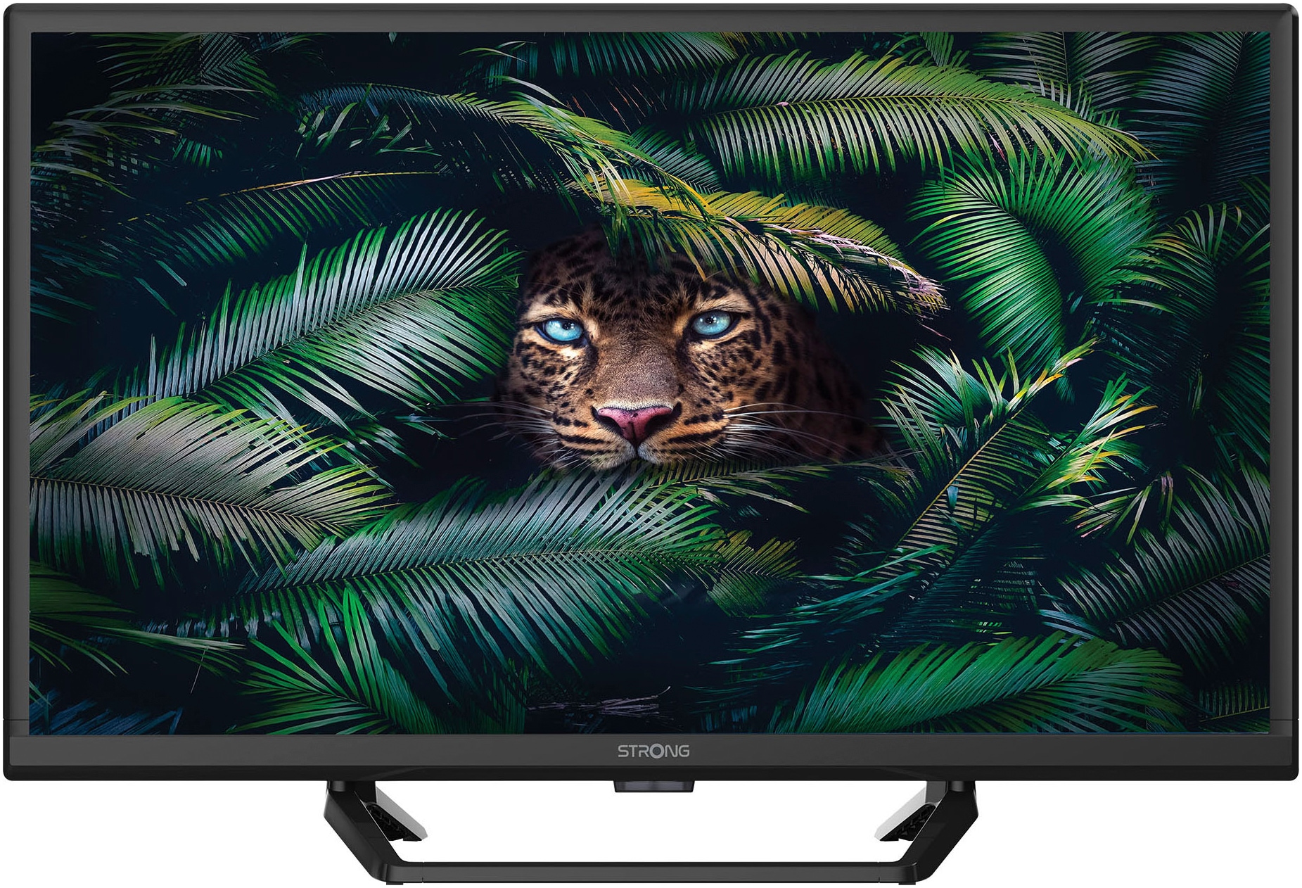 STRONG LED-Fernseher "SRT 24HE4023C", 24 ′′, schwarz, Fernseher, Video-Streaming: Netflix, Youtube, Amazon Prime Video, Disney+