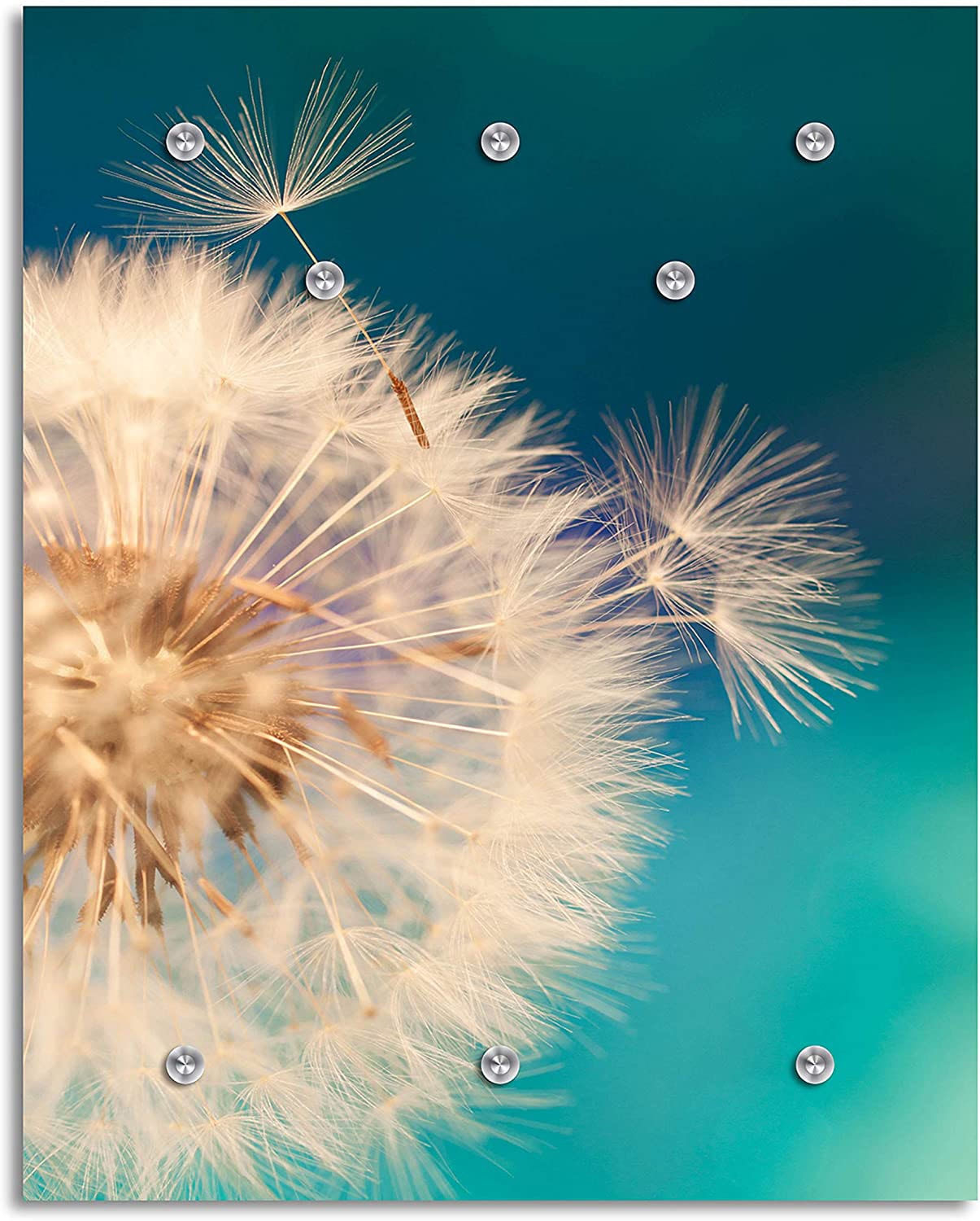 queence Garderobenleiste »Anneli«, Wand Garderobe, Blume, Pusteblume, platzsparend