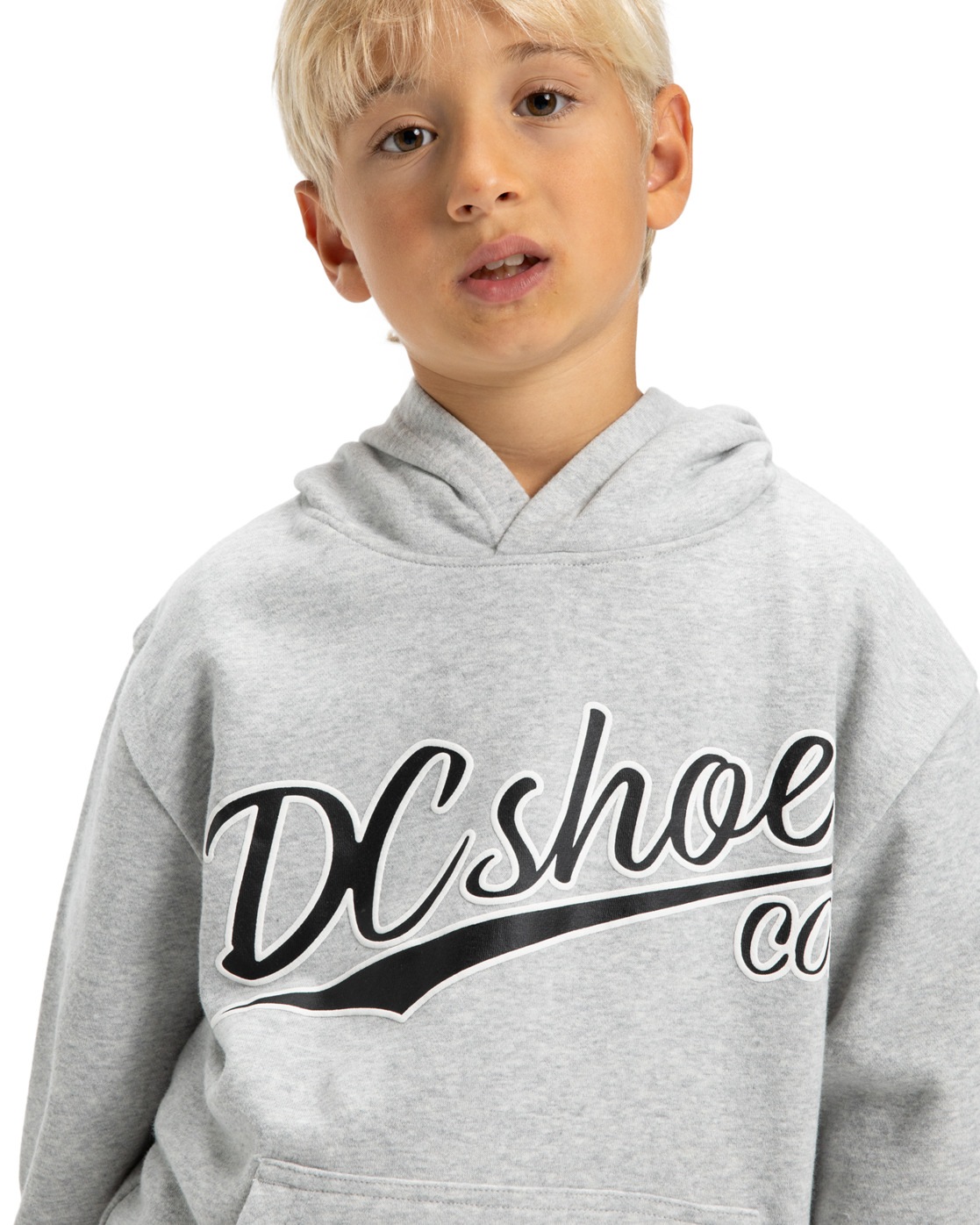 Thumbnail - DC Shoes Kapuzensweatshirt "Substitute"