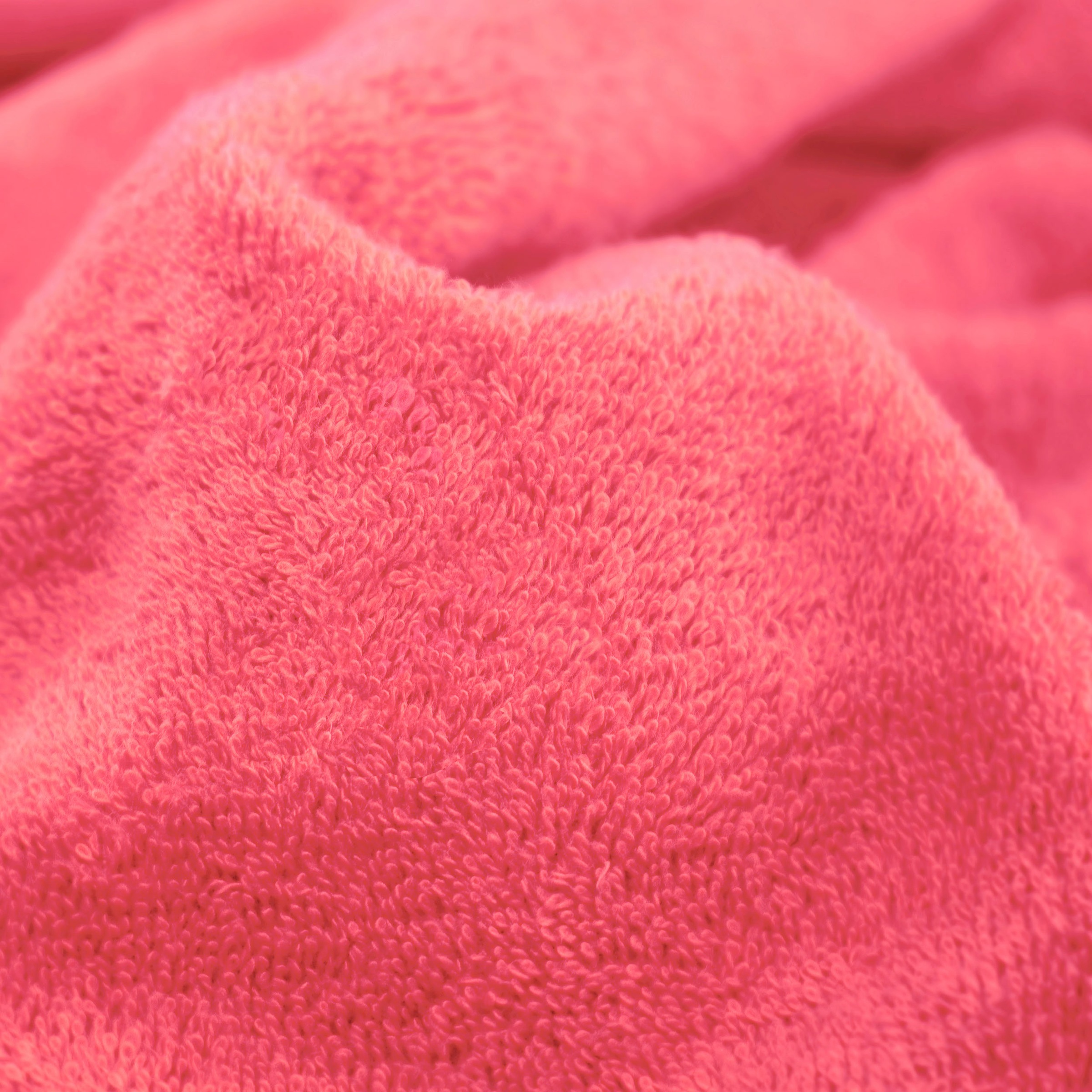 Möve Seiftuch "Superwuschel" Seiftuch Set mit Bordüre, 100% Premium Cotton günstig online kaufen