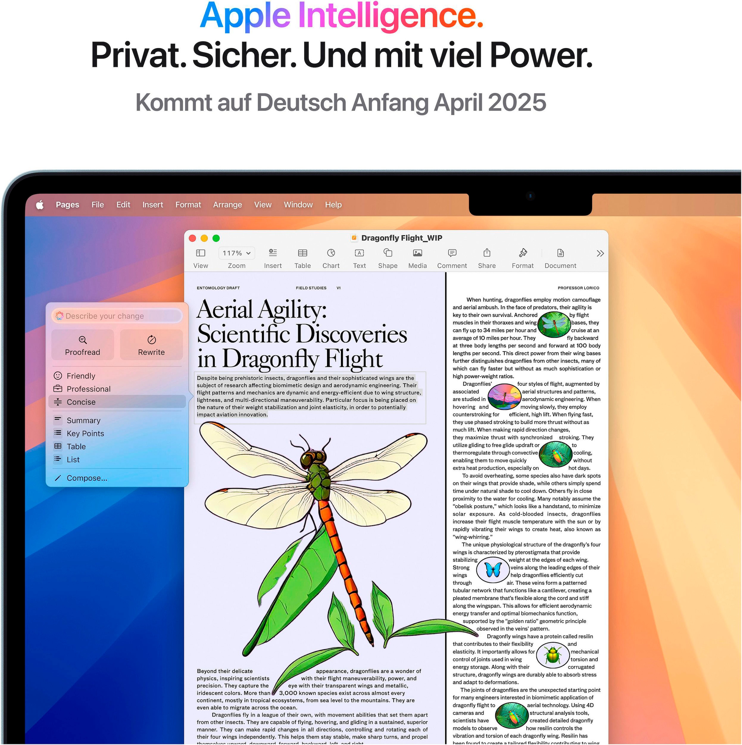 Apple Notebook »MacBook Air 13" CTO«, 34,46 cm, / 13,6 Zoll, Apple, M4, 10-Core GPU, 1000 GB SSD