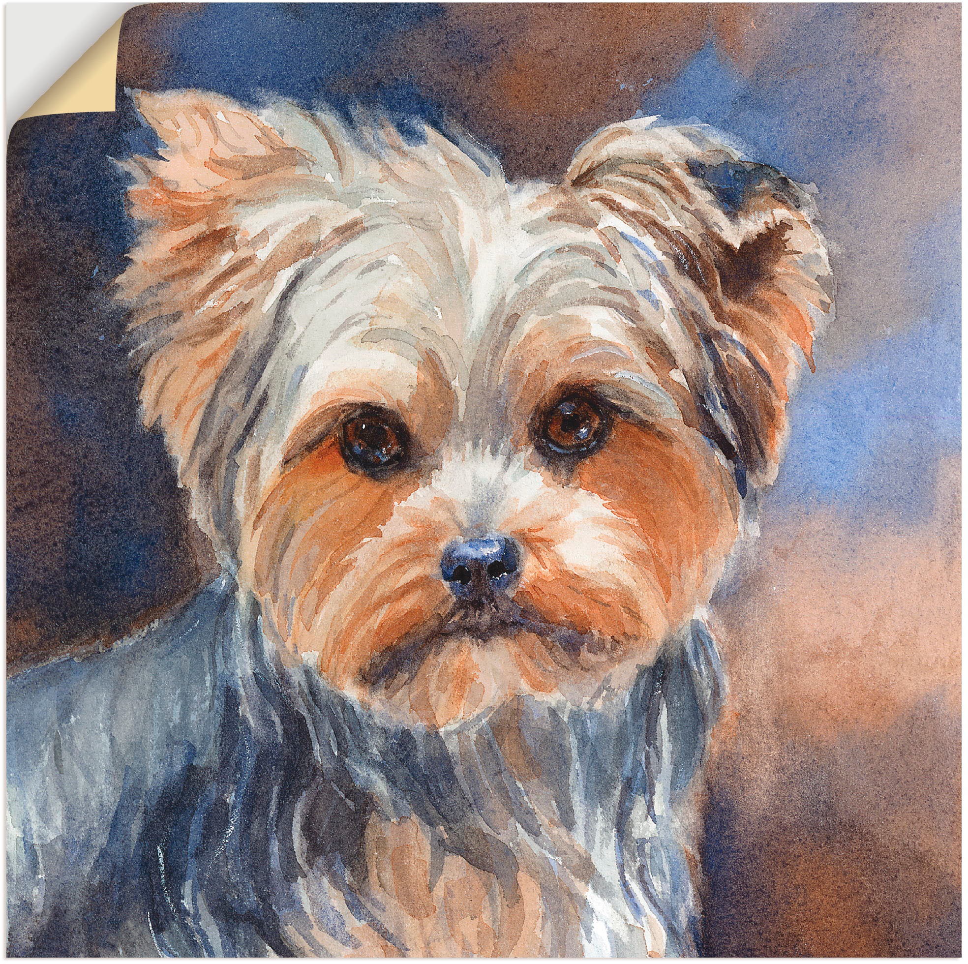 Artland Wandbild "Sadie Belle Yorkshire Terrier", Haustiere, (1 St.), als L günstig online kaufen