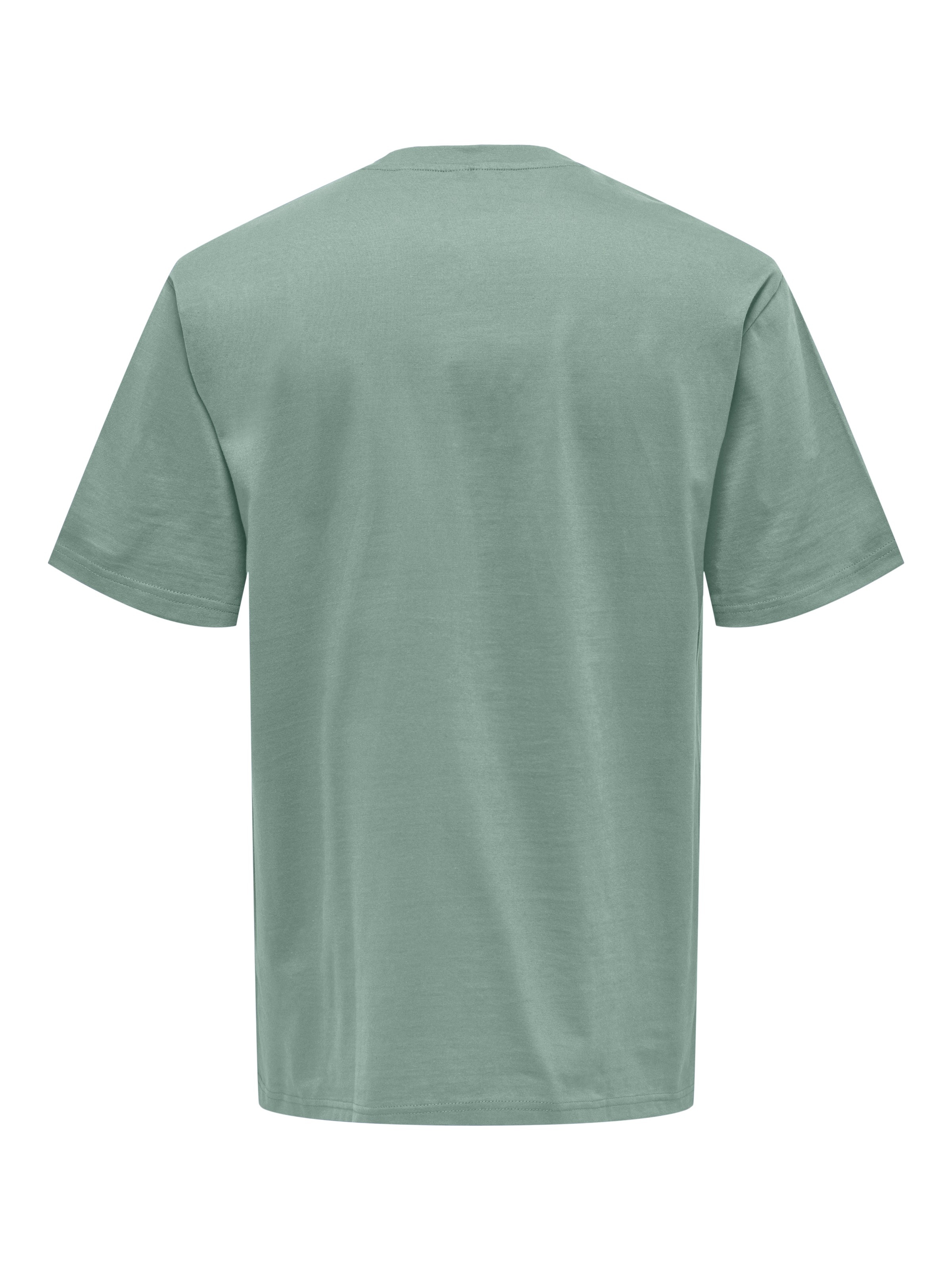 ONLY & SONS Rundhalsshirt »ONSFRED RLX SS TEE«