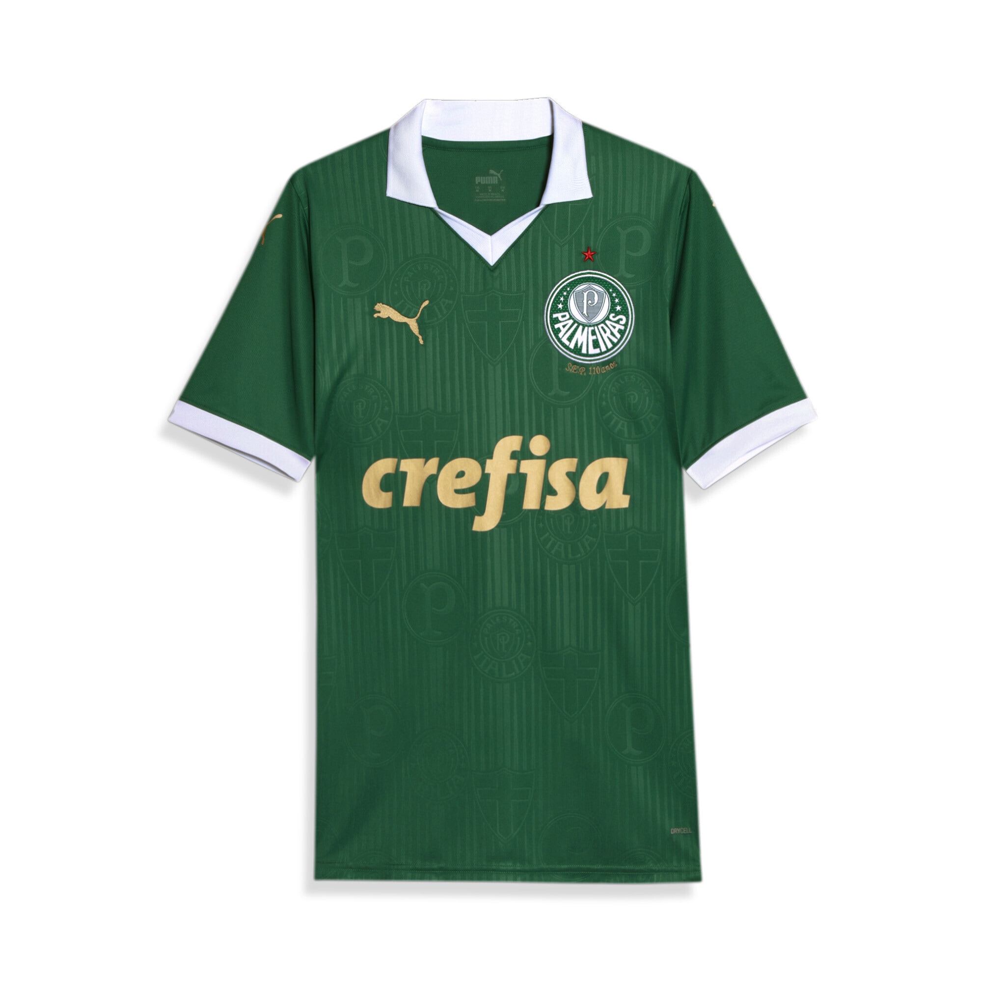 PUMA Trainingsshirt »Palmeiras Fans 2024 Heimtrikot Herren«