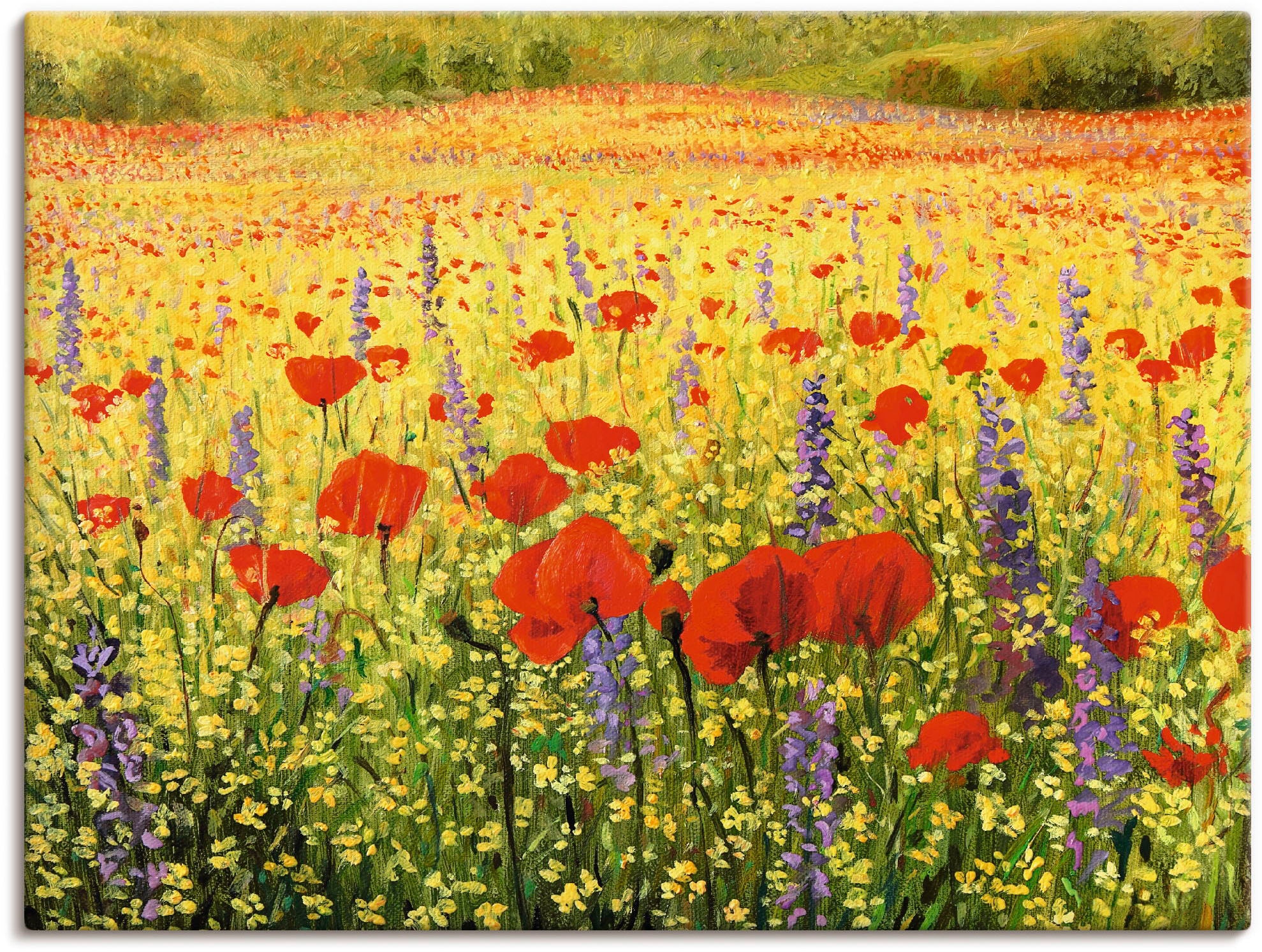 Artland Leinwandbild "Mohnblumenfeld" Felder 1 Stk. tlg. auf Holzrahmen ges günstig online kaufen