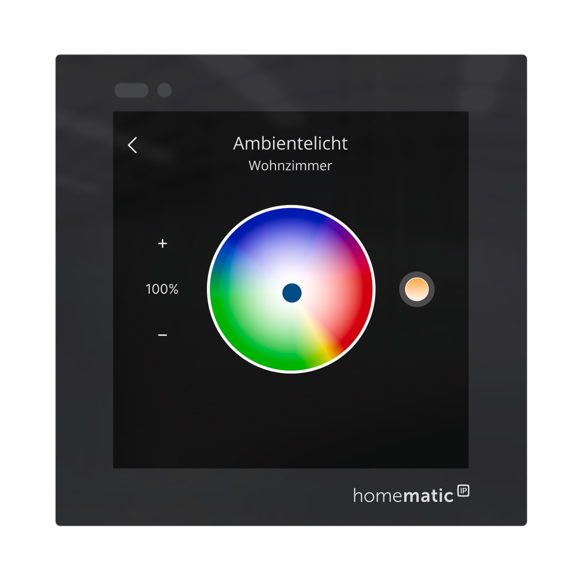 Homematic IP Smart-Home-Steuerelement »Glasdisplay«