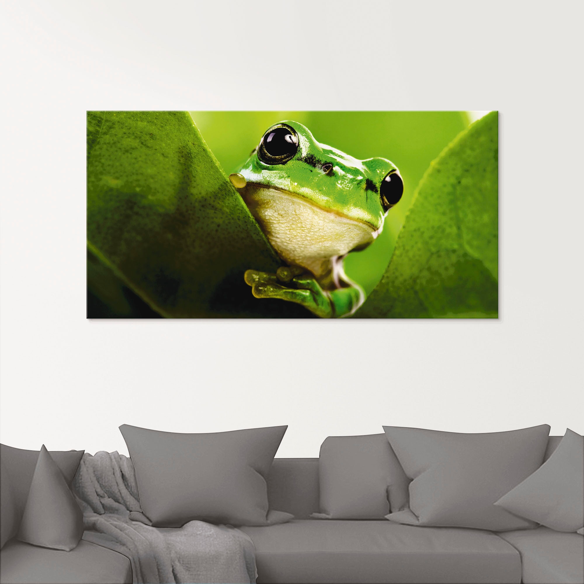 Artland Glasbild "Ausspähender Frosch" Wassertiere 1 Stk. tlg. in verschied günstig online kaufen