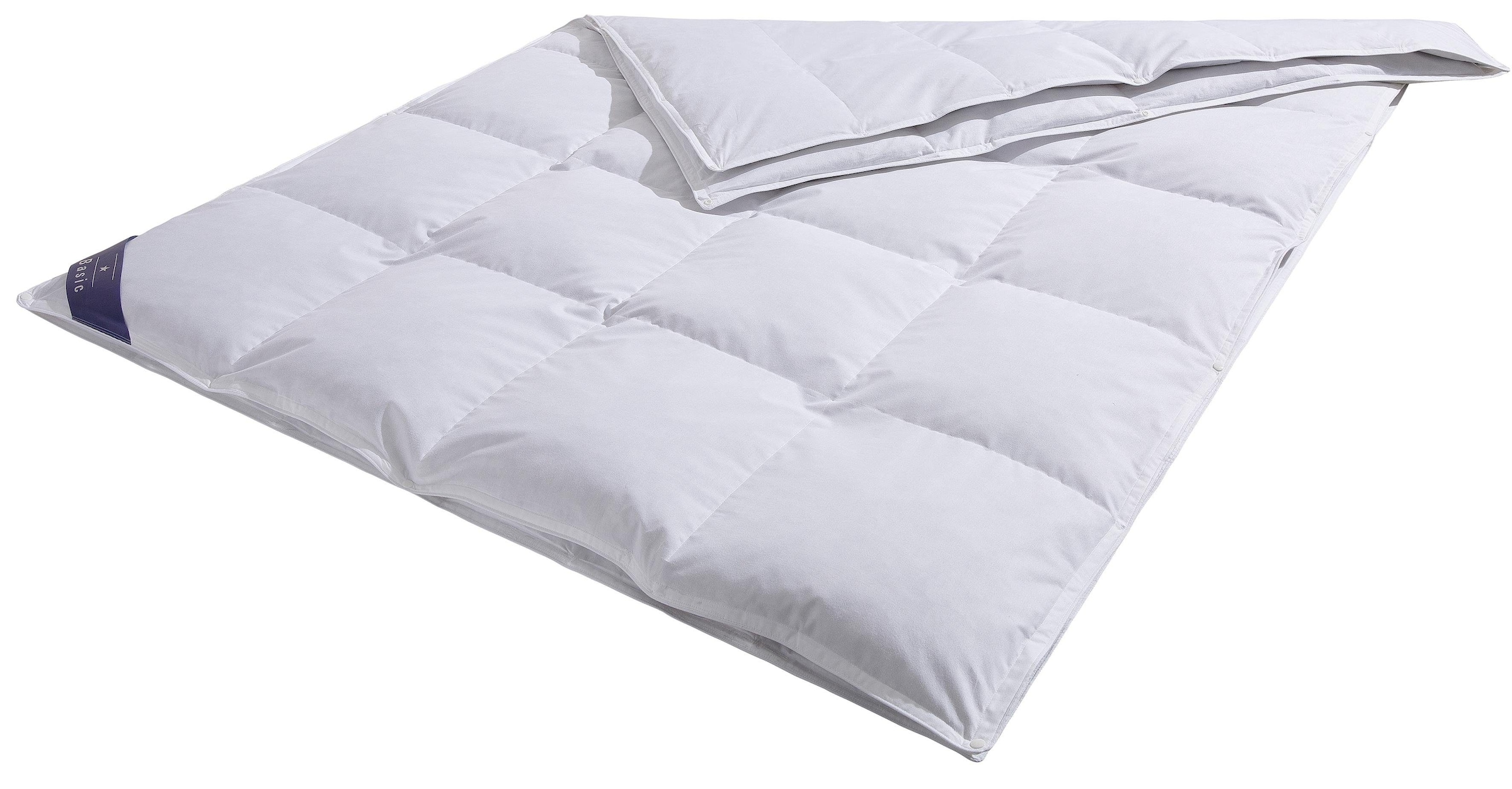 Hanse by RIBECO Federbettdecke "Jonas" 4-Jahreszeiten Füllung 10Daunen90Fed günstig online kaufen