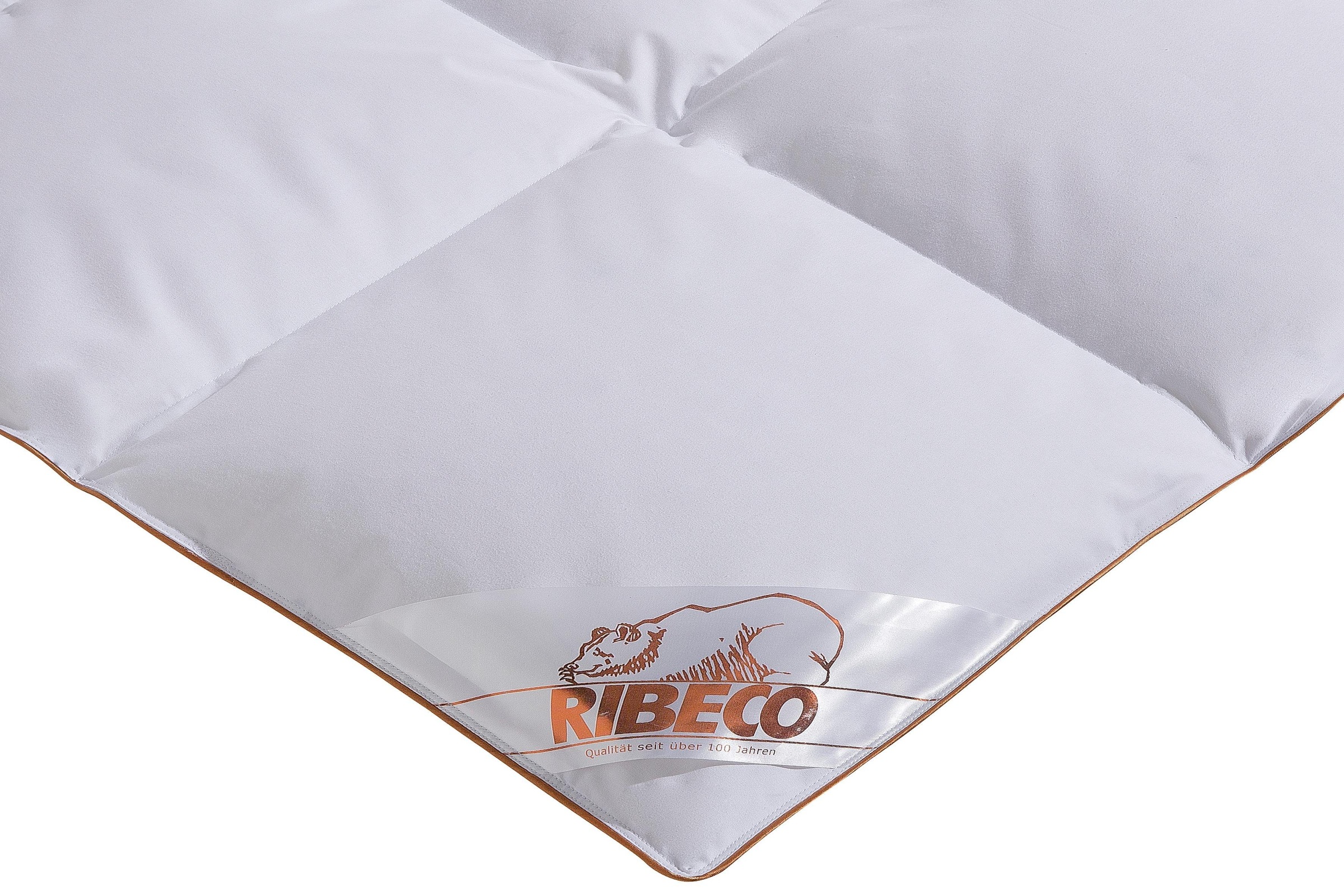 RIBECO Gänsedaunenbettdecke »Kalle«, warm, Füllung Gänsedaunen & -federn, Bezug 100% Baumwolle, (1 St.), pflegeleicht!