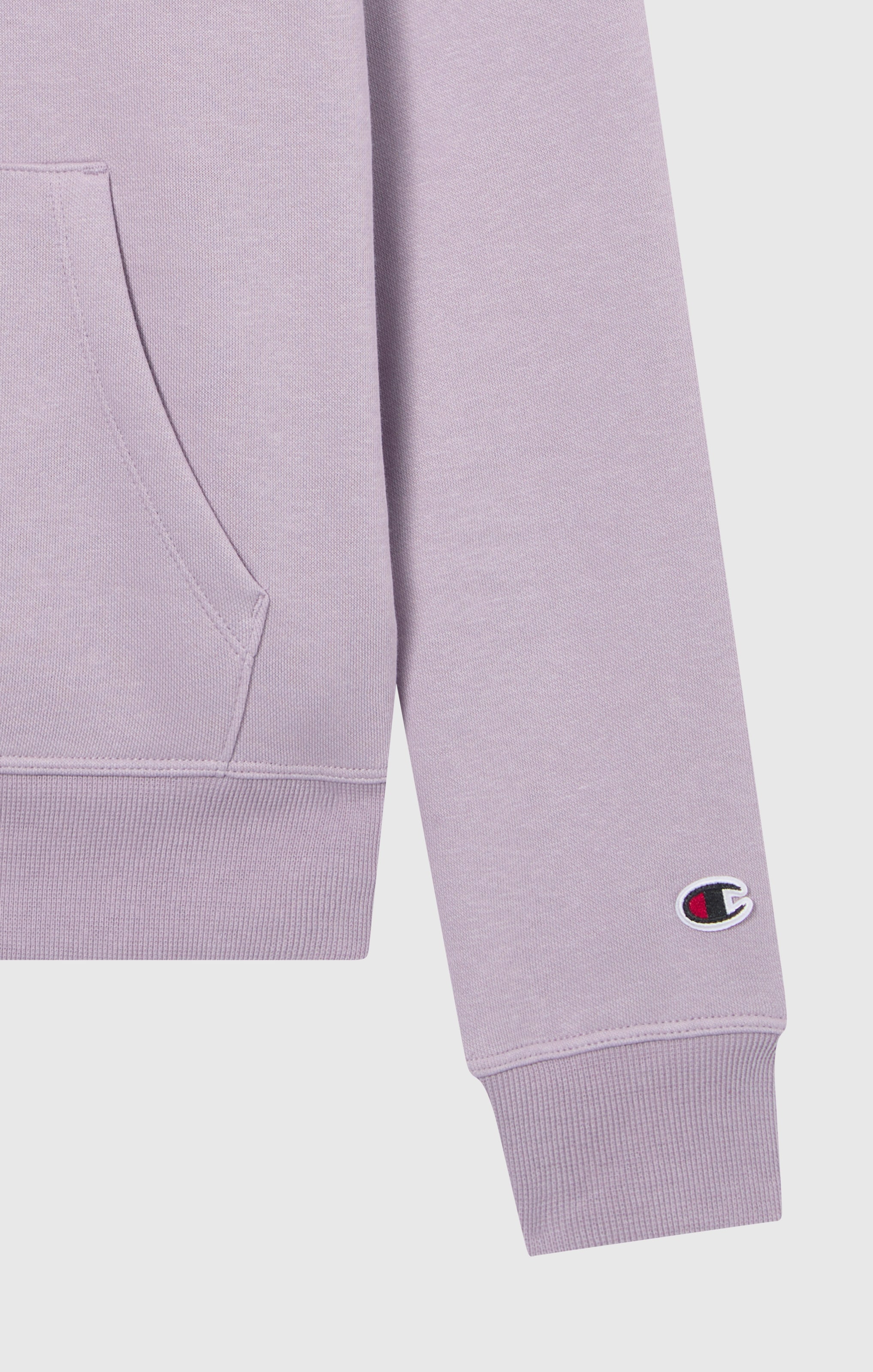 Champion Kapuzensweatshirt »ICONS TONAL Hoodie«, (1 tlg.)