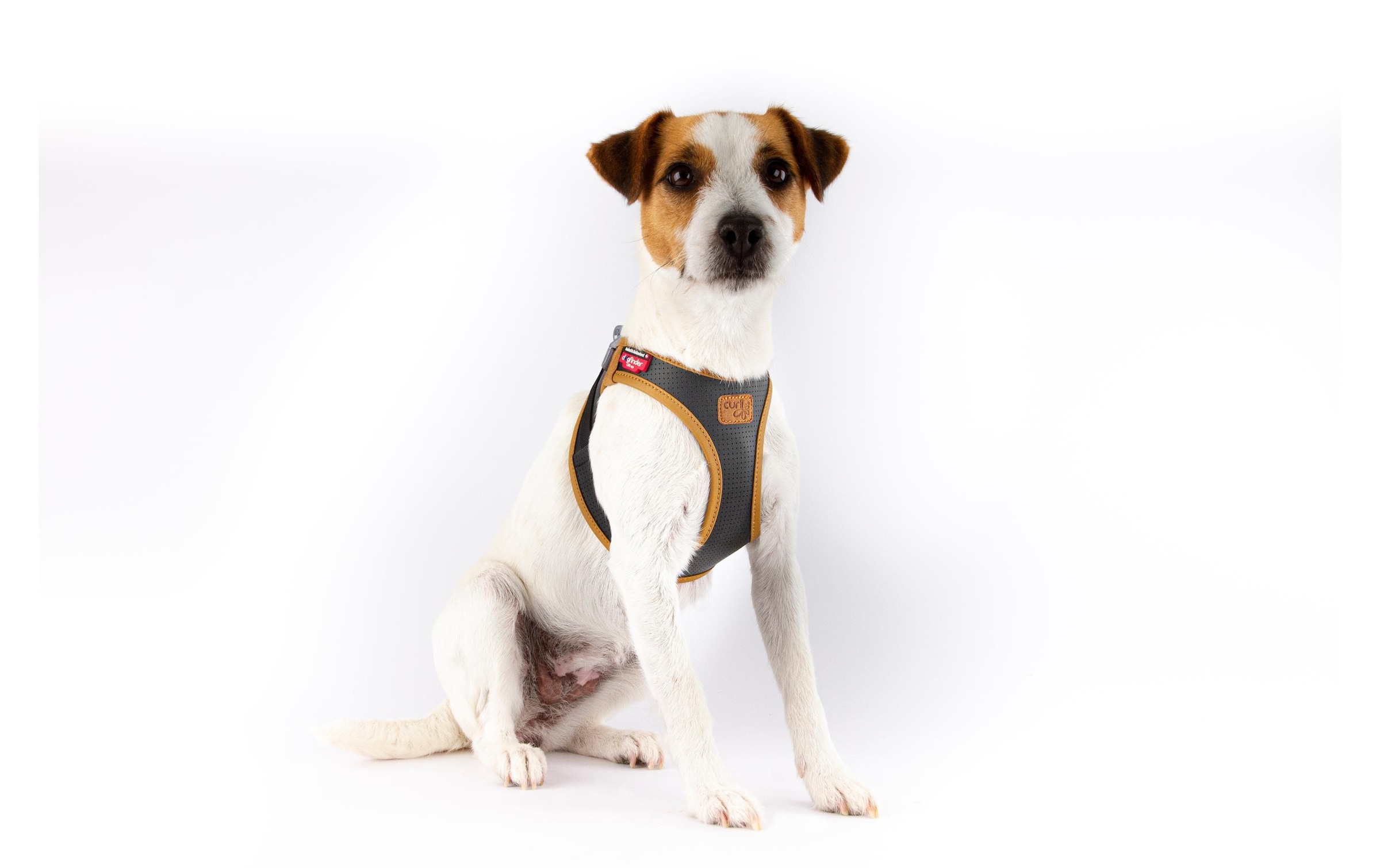 Curli Hunde-Geschirr »Vest Geschirr Apfelleder« Leder