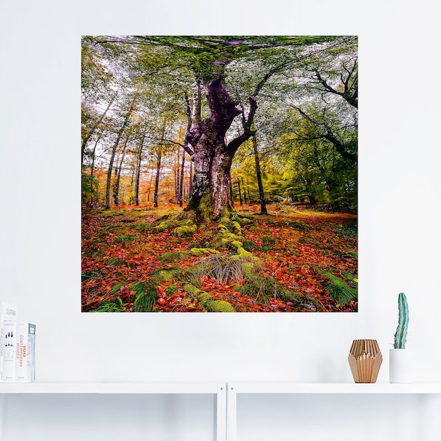 Artland Wandbild »Baum im Wald«, Baumbilder, (1 St.), als Alubild,  Leinwandbild, Wandaufkleber oder Poster in versch. Größen bestellen | BAUR