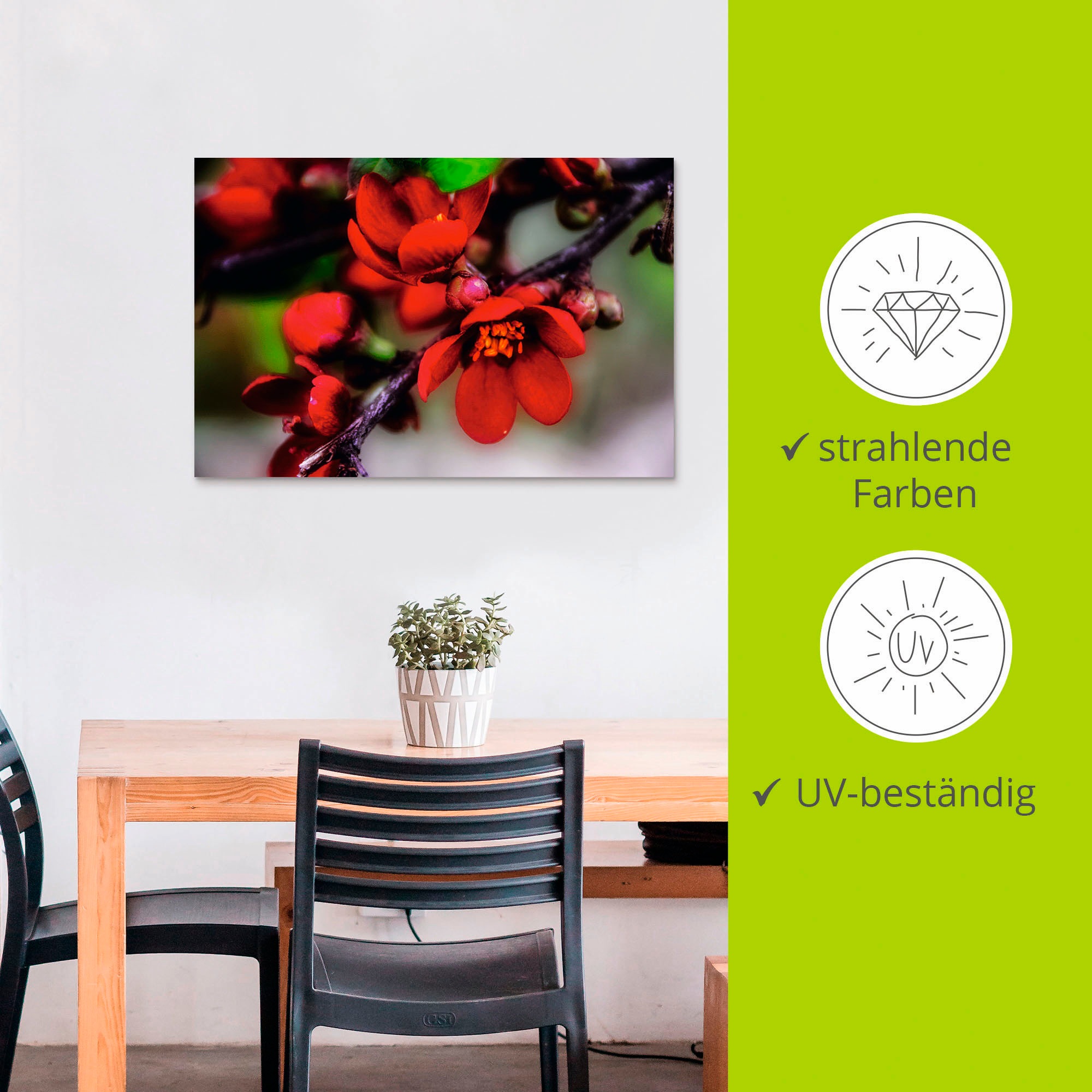 Artland Wandbild »Quittenblüte II«, Blumen, (1 St.), als Alubild, Outdoorbild, Leinwandbild in verschied. Größen