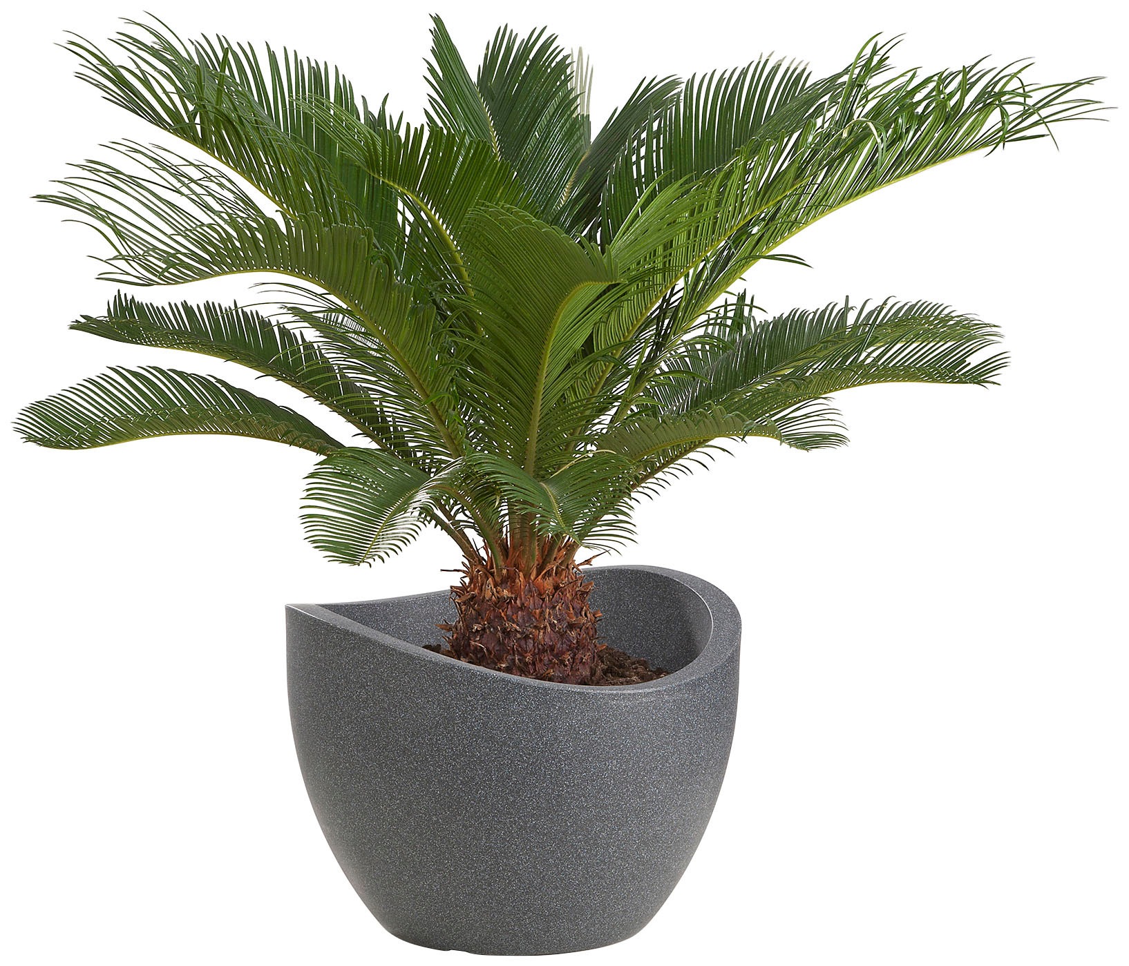 Scheurich Blumentopf »30/250«