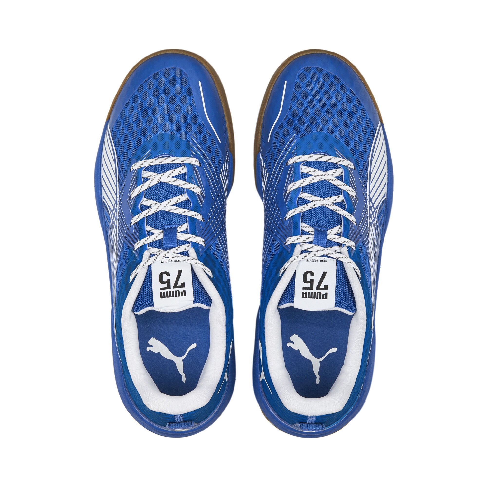 PUMA Sneaker »Eliminate Power NITRO II 75 Handballschuhe Herren«