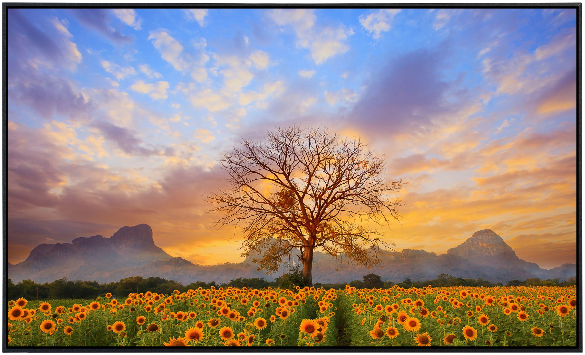 Papermoon Infrarotheizung »Sonnenblumen Dusky Sky«, sehr angenehme Strahlungswärme