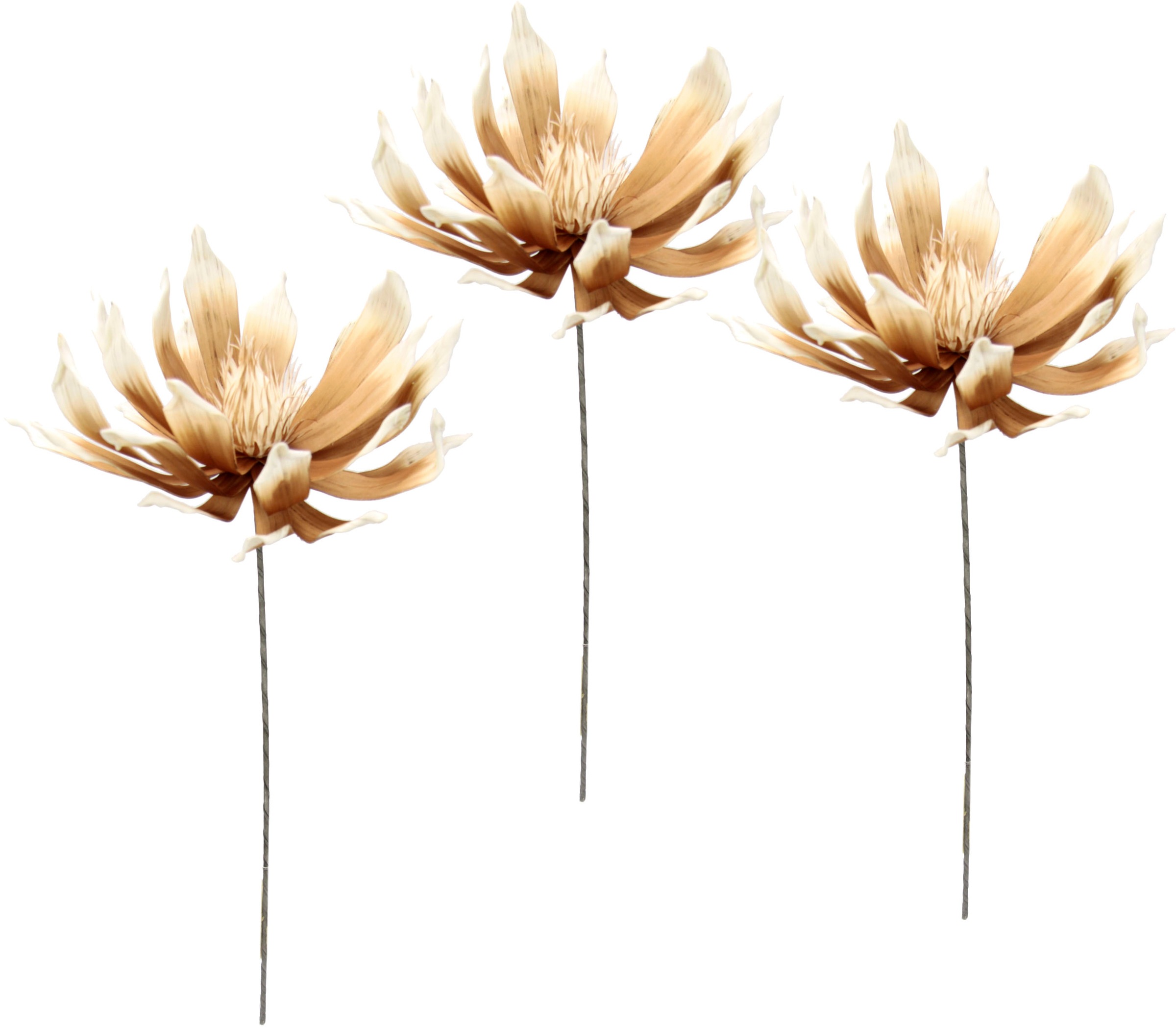 I.GE.A. Kunstblume "Soft-Protea", 3er Set günstig online kaufen