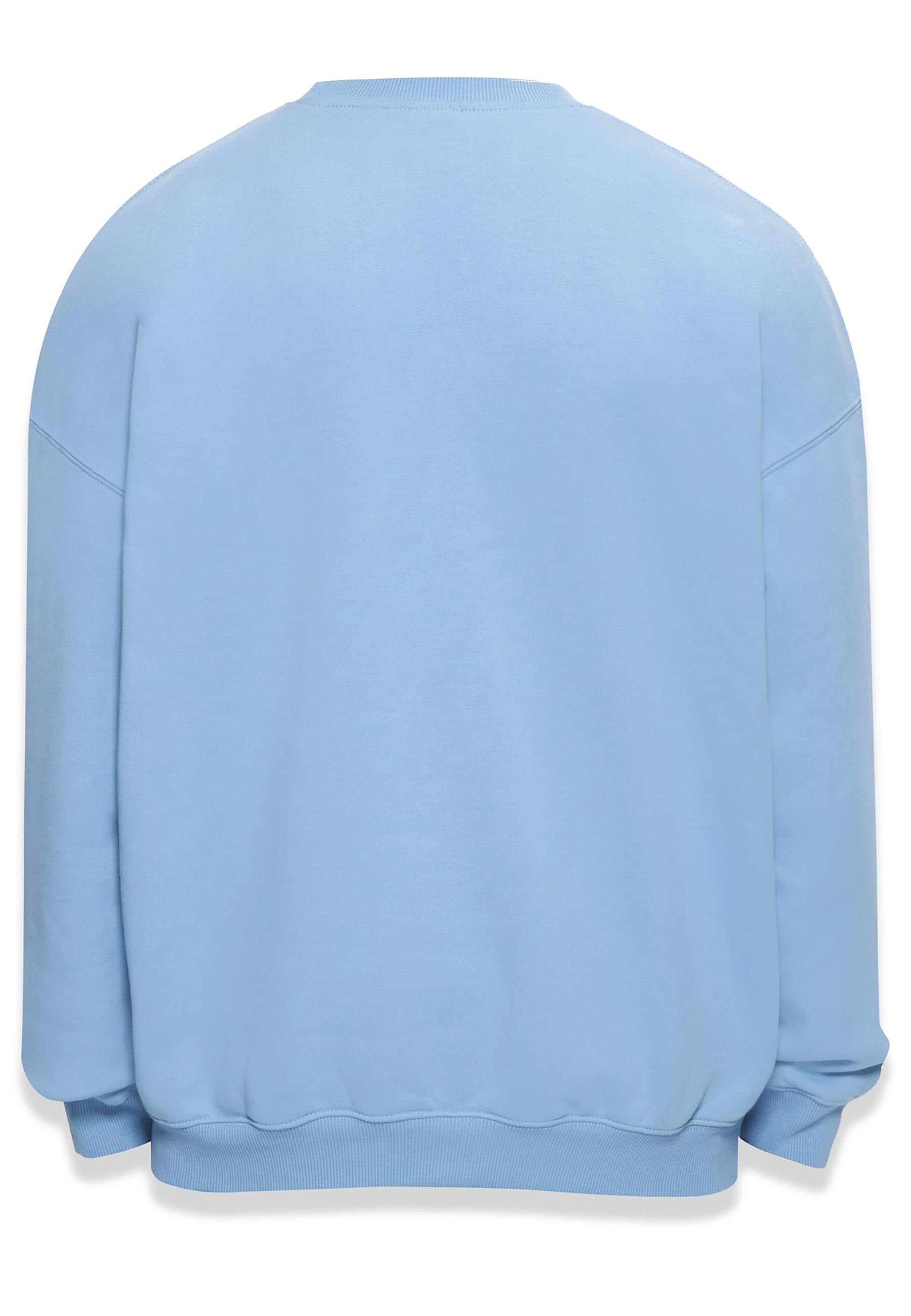 Dropsize Rundhalspullover "Dropsize Herren Bazix Republiq Super Heavy Blank günstig online kaufen