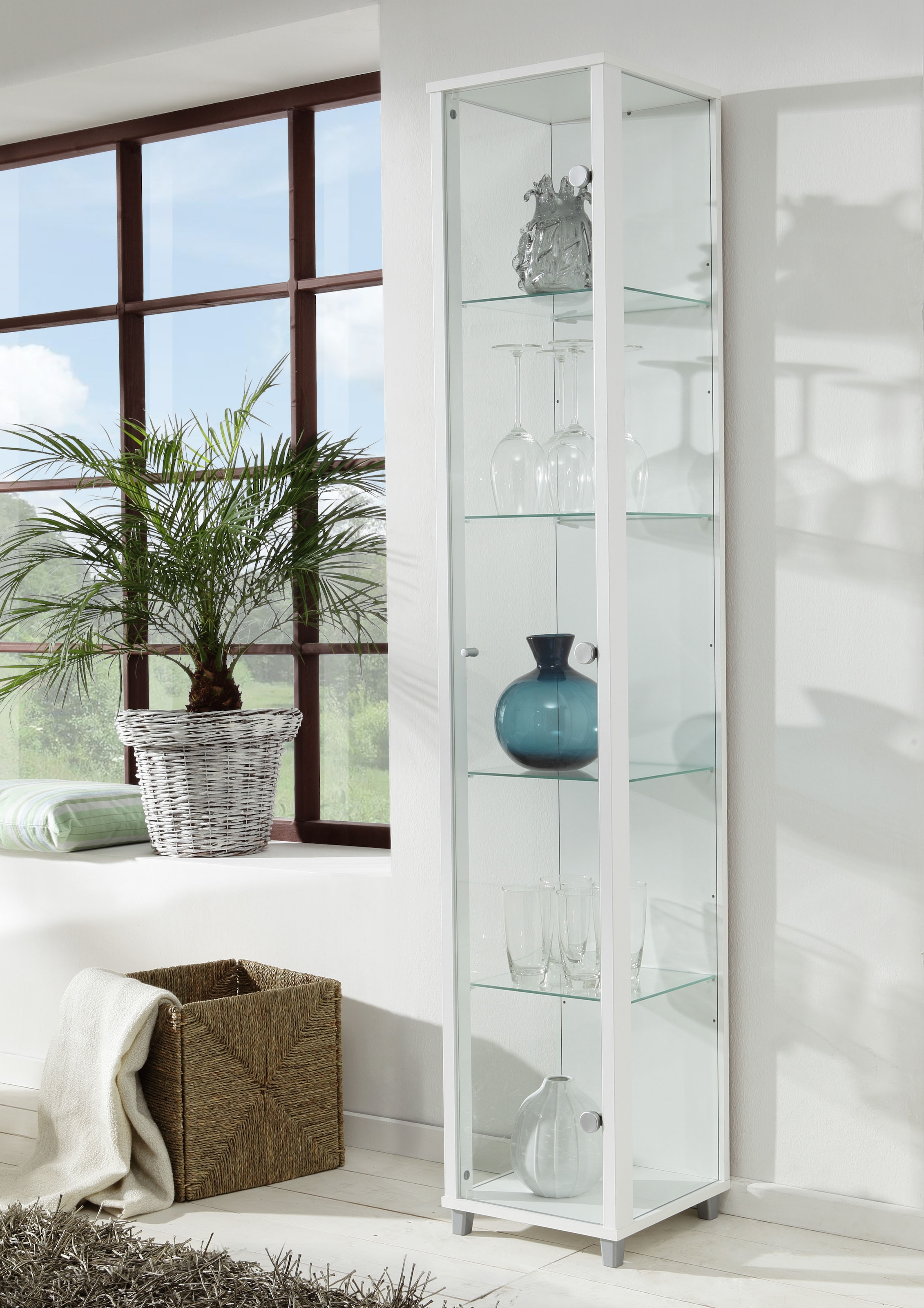 fif möbel Vitrine »OPTIMA Höhe ca. 172 cm«, Standvitrine/Glasvitrine 1x Glastür,perfekt für Sammler,Sammlervitrine
