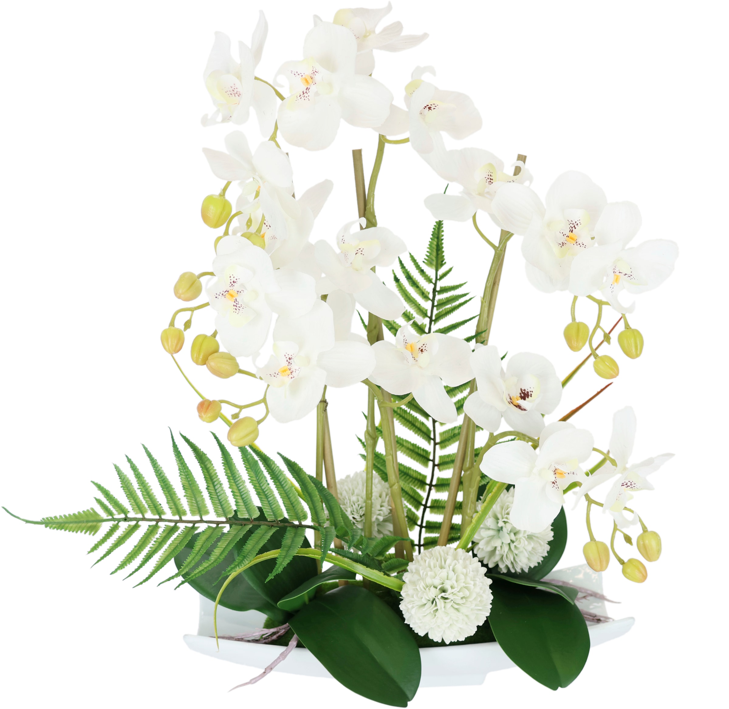 I.GE.A. Kunstblume "Orchideen" Künstliche Orchidee in Keramik-Schale Blume Kunstorchidee Phalaenopsis