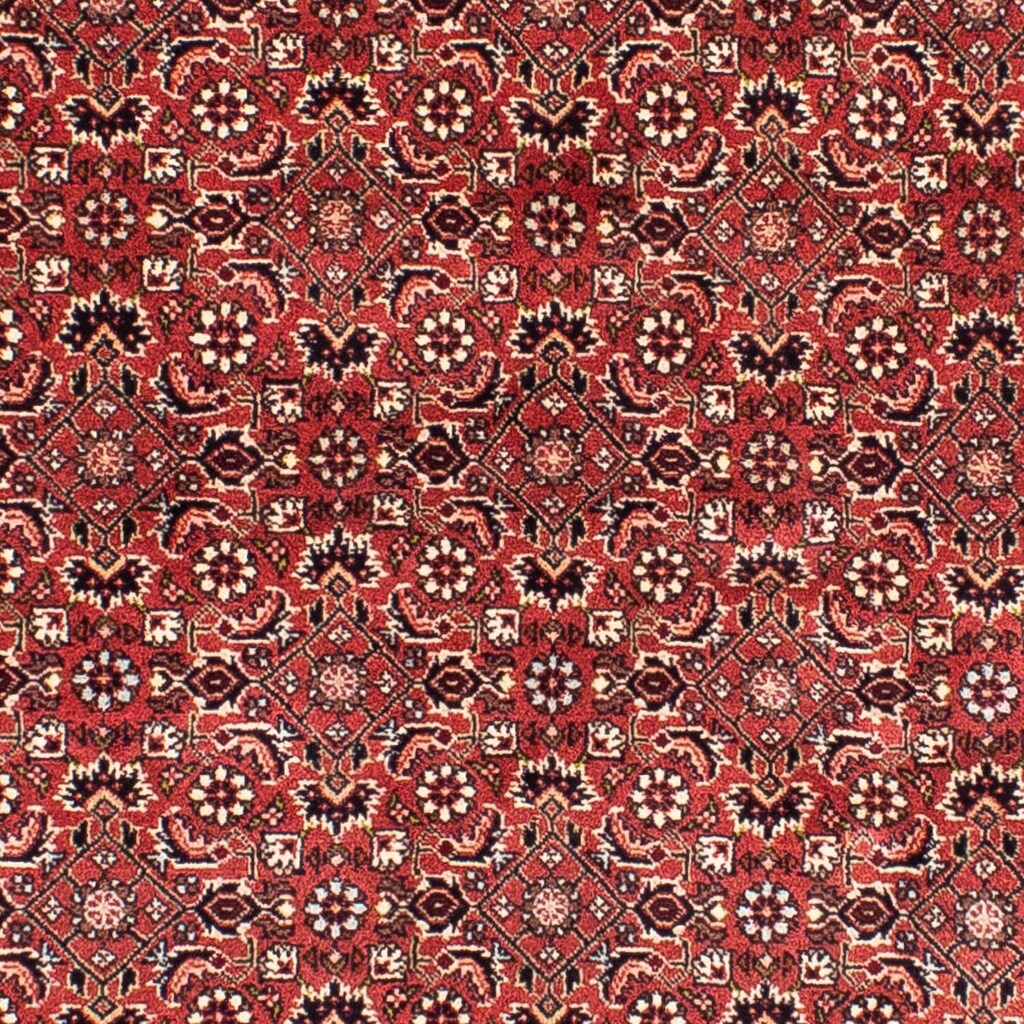 morgenland Orientteppich »Perser - Bidjar quadratisch - 208 x 200 cm - hellrot«, quadratisch