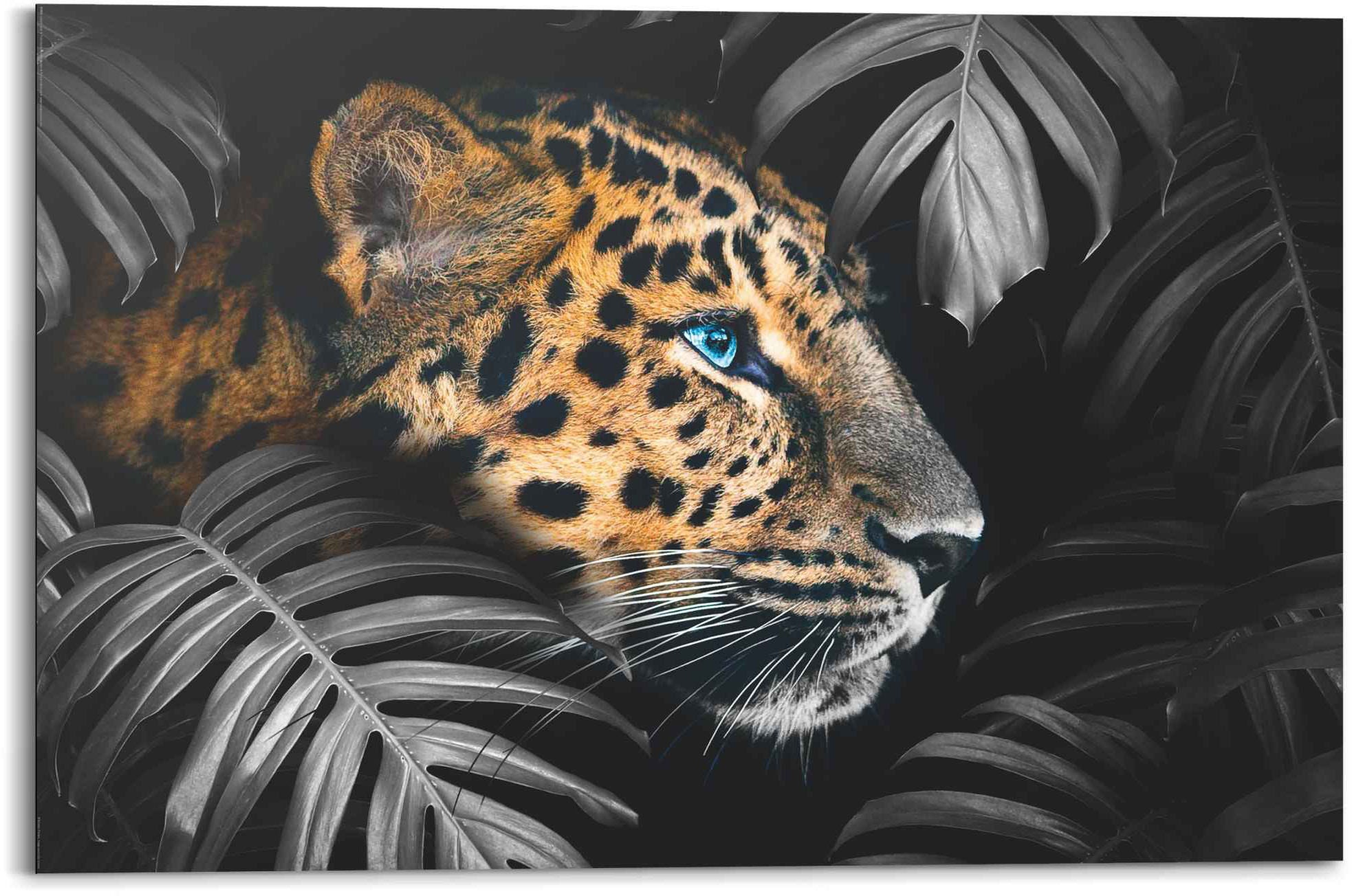 Reinders Wandbild "Wandbild Leopard Jungle - Pflanze - Tiermotiv", Leopard, günstig online kaufen