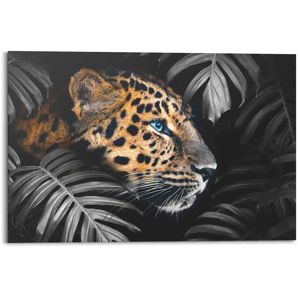 Reinders! Wandbild »Wandbild Leopard Jungle - Pflanze - Tiermotiv«, Leopard, (1 St.)