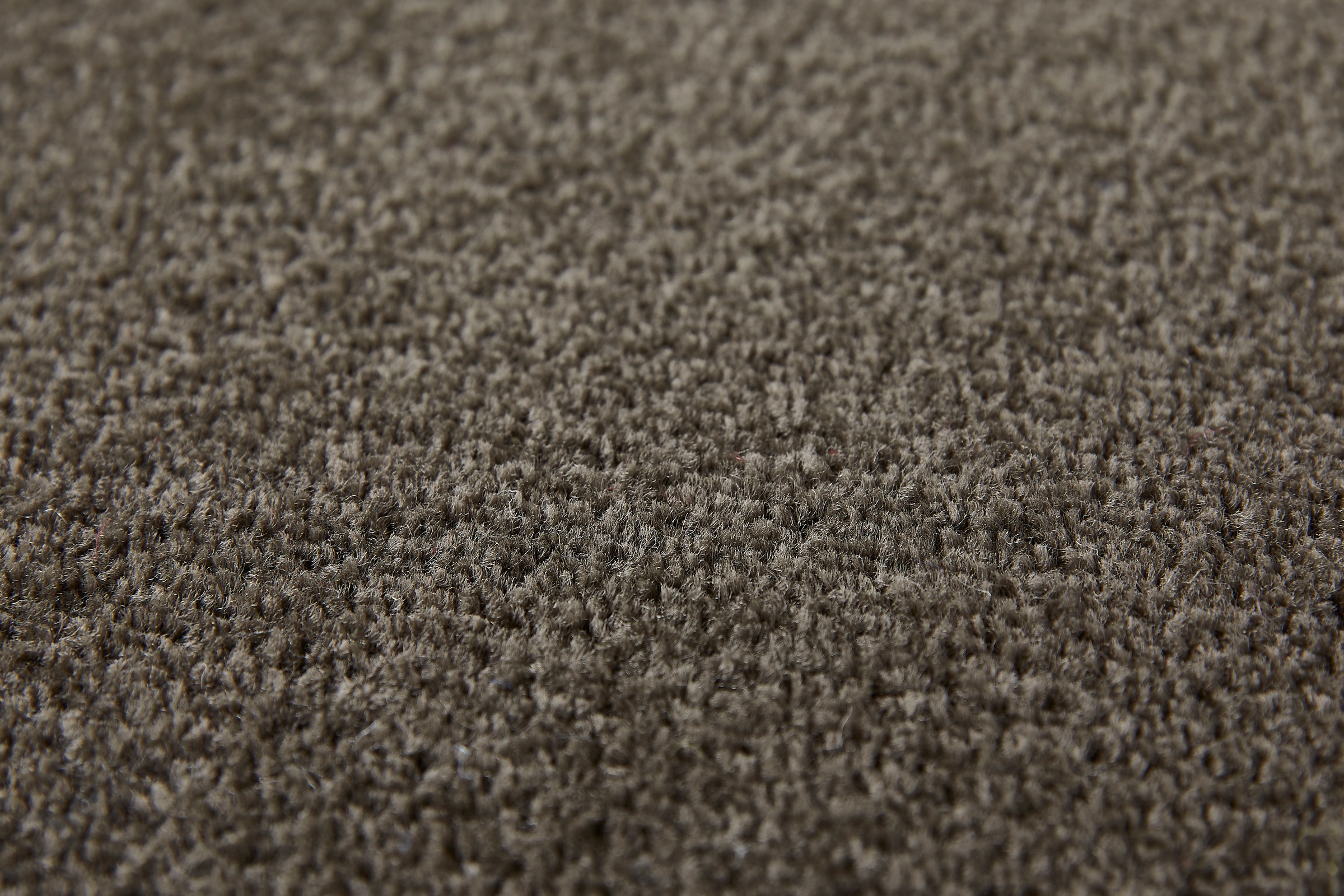 my home Teppichboden »Isabella, Velours, Made in Netherlands«, rechteckig, 0,85 mm Höhe, Breite 400 cm, Uni Farben, weich, pflegeleicht, strapazierfähig