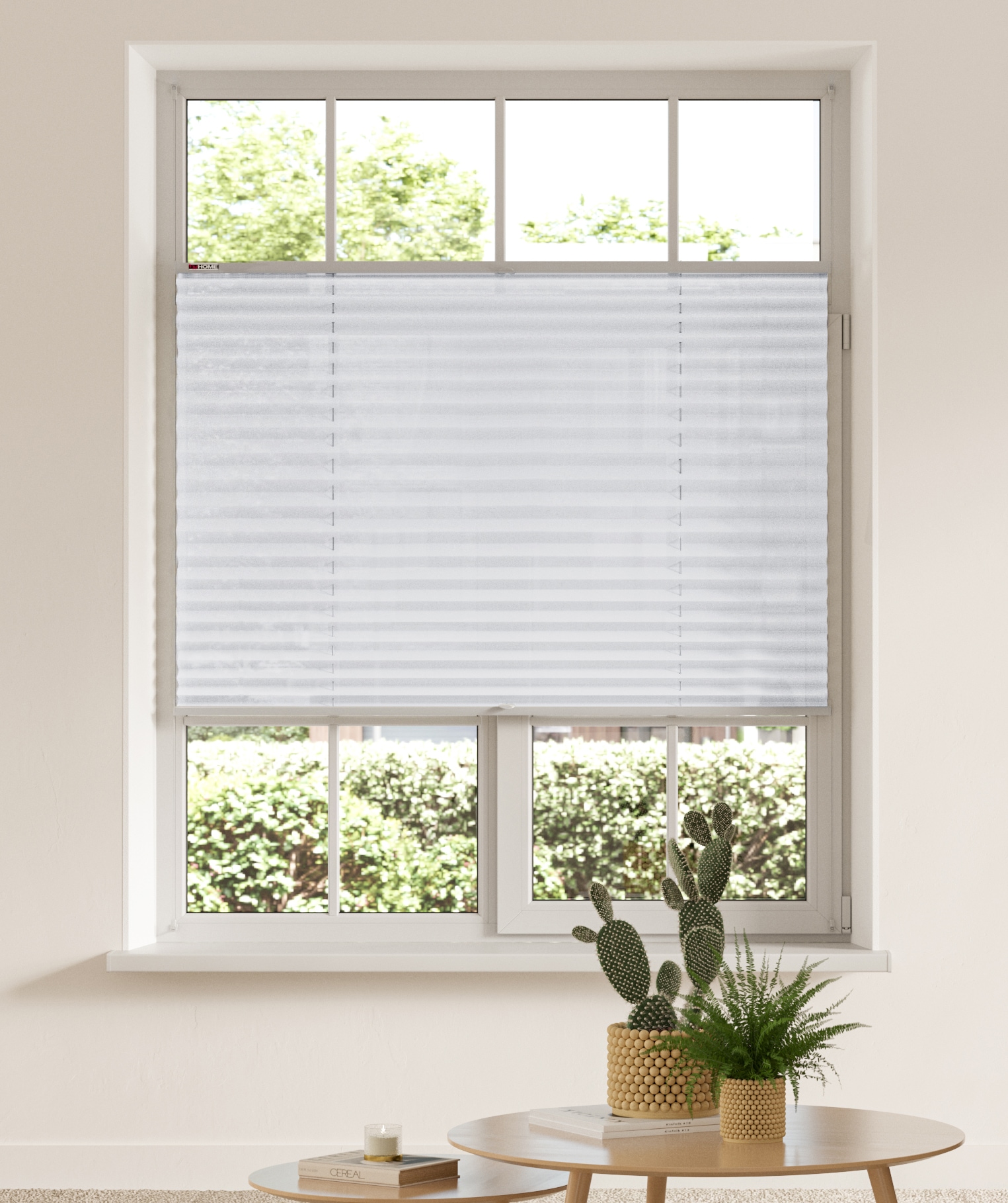 my home Plissee "LAHOLM" Lichtschutz ohne Bohren verspannt Fixmaß, Bestsell günstig online kaufen