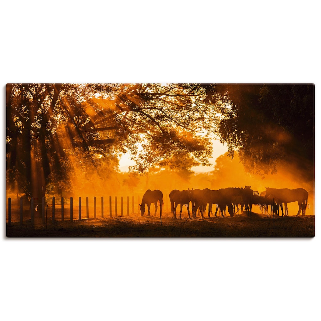 Artland Wandbild »Goldenes Licht auf der Pferdewiese«, Haustiere, (1 St.)