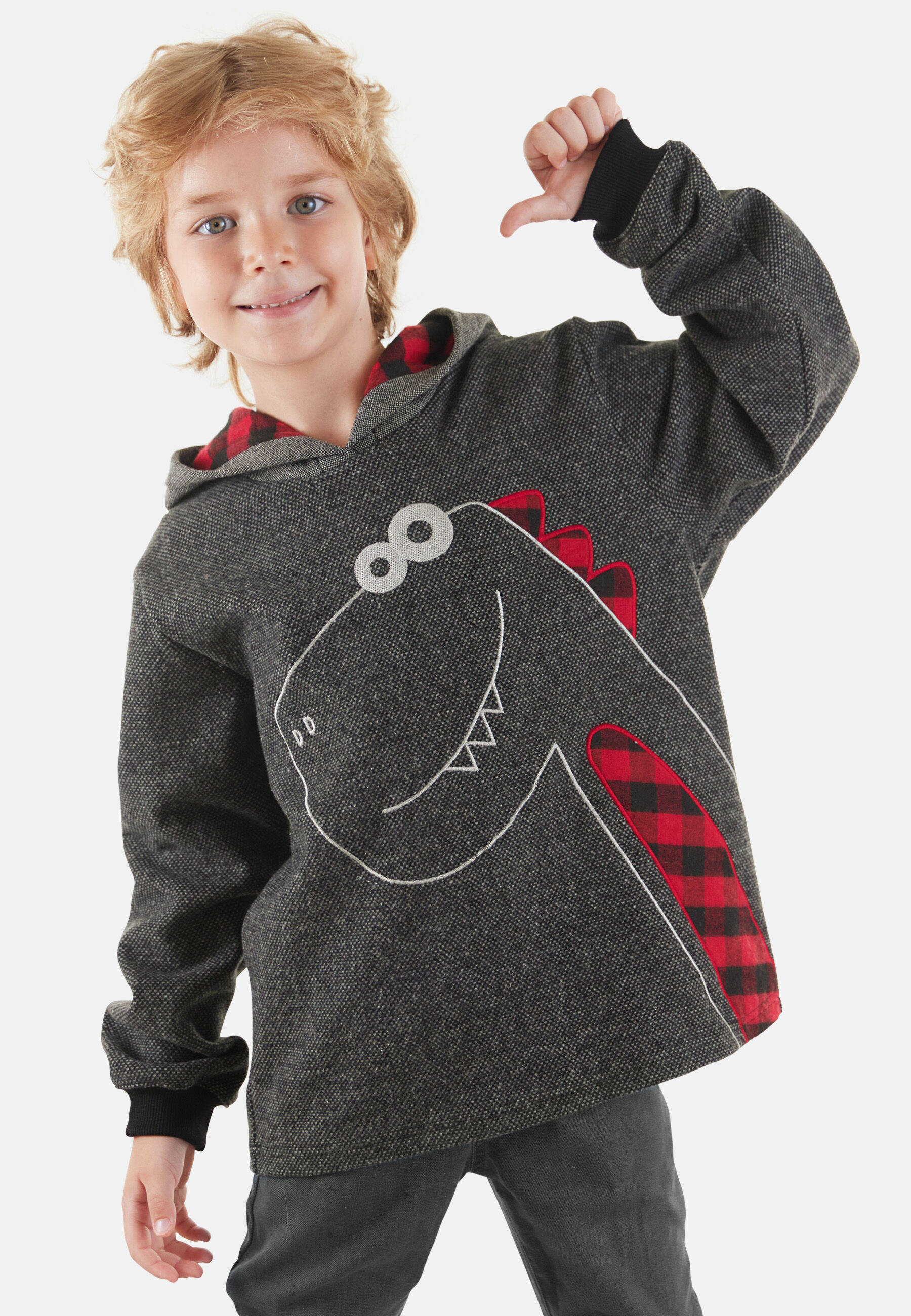 Thumbnail - Denokids Kapuzenpullover "Check Dino" 1 Stk. tlg. mit Dinosaurier-Stickerei