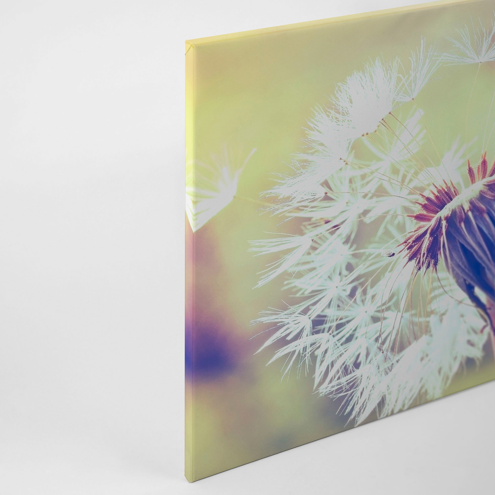 Thumbnail - A.S. Création Leinwandbild "Dandelion" Gemälde  Kunst 1 Stk. tlg. Pusteblume Keilrahmen Leinwand-Bild Wohnzimmer modern ...