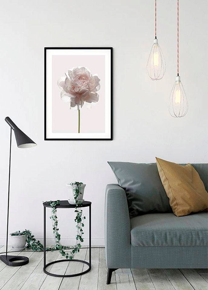 Komar Poster »Rose«, Blumen, (1 St.), Kinderzimmer, Schlafzimmer, Wohnzimmer