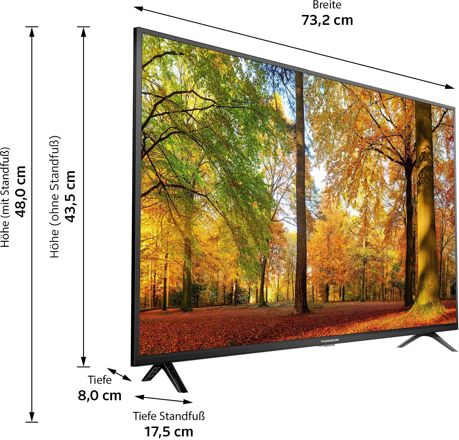 Thomson LED-Fernseher »32HD3306X1«, 80 cm/32 Zoll, HD ready